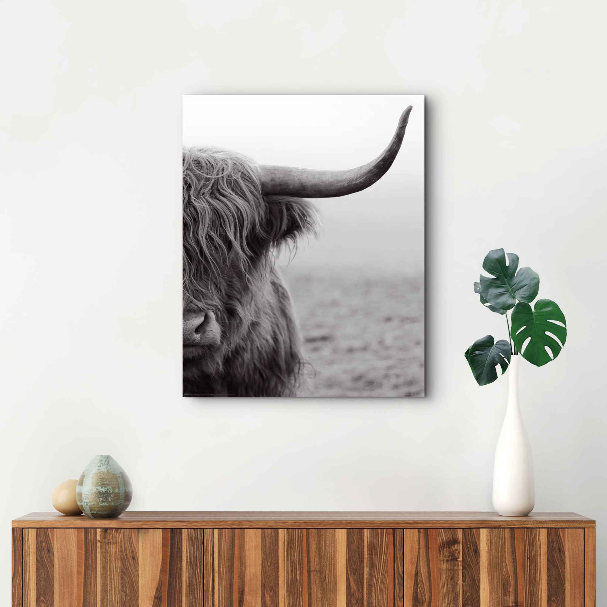 Reinders! Wandbild »Wandbild Highlander Bulle (1 Kuh, Tiermotiv - St.) Nahaufnahme Hochlandrind«, kaufen | - BAUR