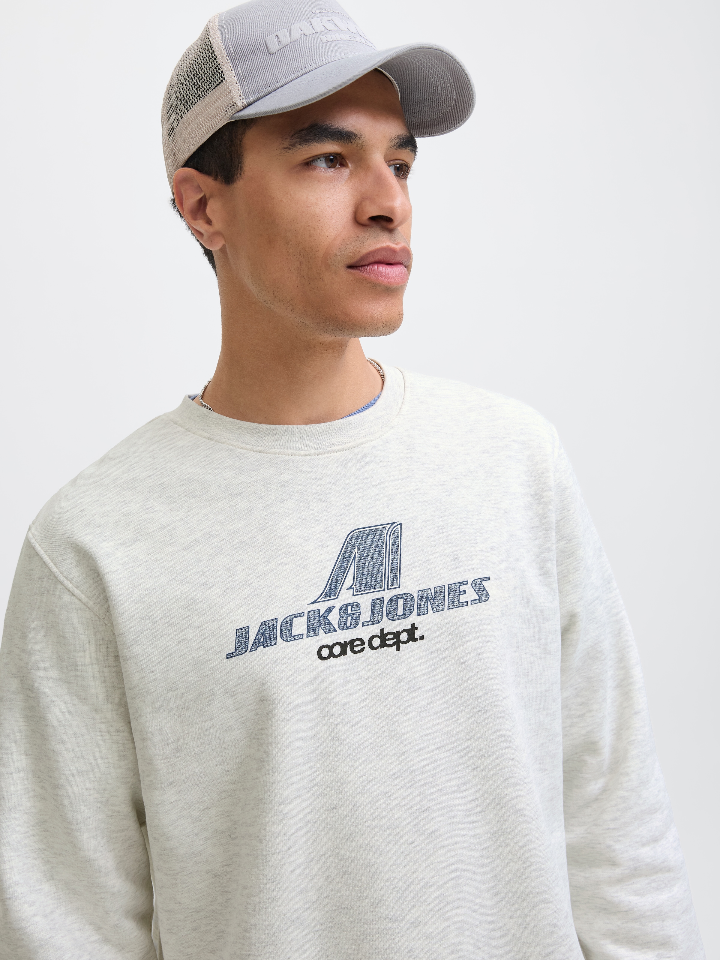 Jack & Jones Sweatshirt »JCOTIER PRINT SWEAT CREW NECK«