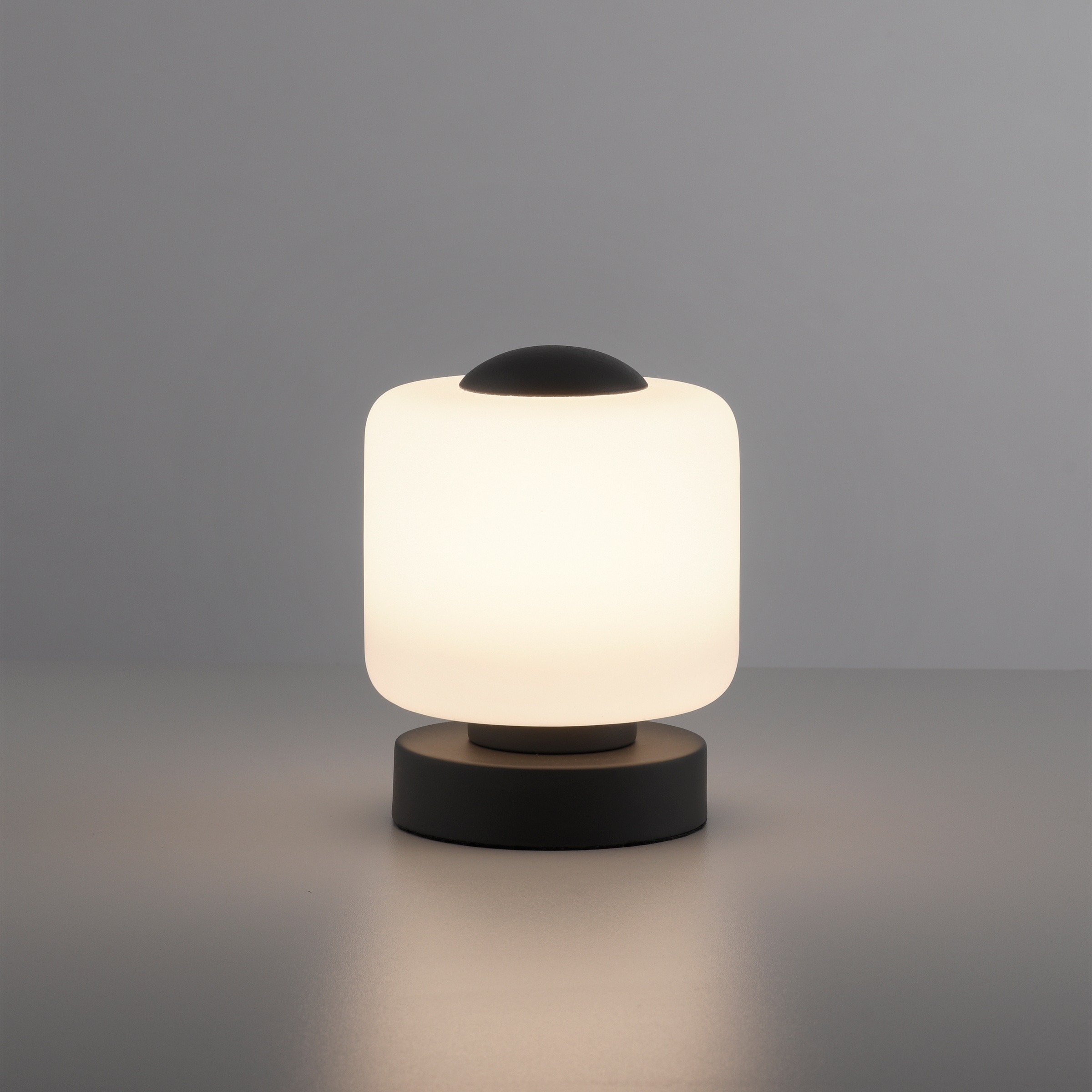 Paul Neuhaus Tischleuchte »BOTA«, 1 flammig, Leuchtmittel LED-Board | LED fest integriert, LED, dimmbar über Touchdimmer
