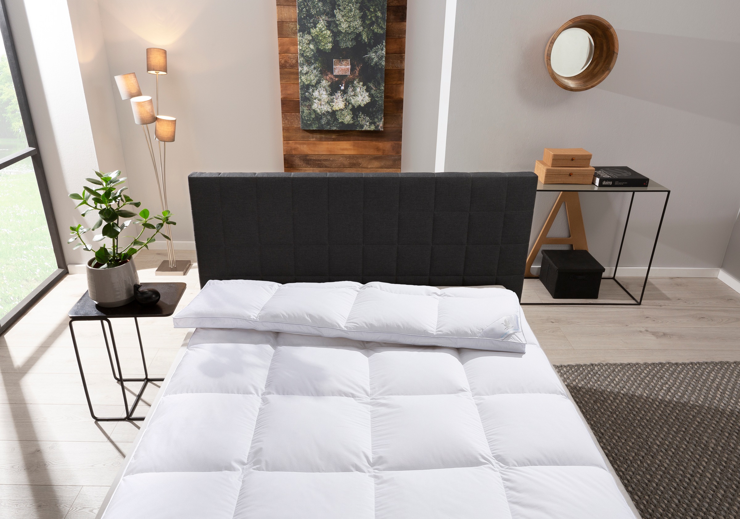 Otto Keller Daunenbettdecke "Star, Bettdecken für Sommer oder Winter, Decke günstig online kaufen