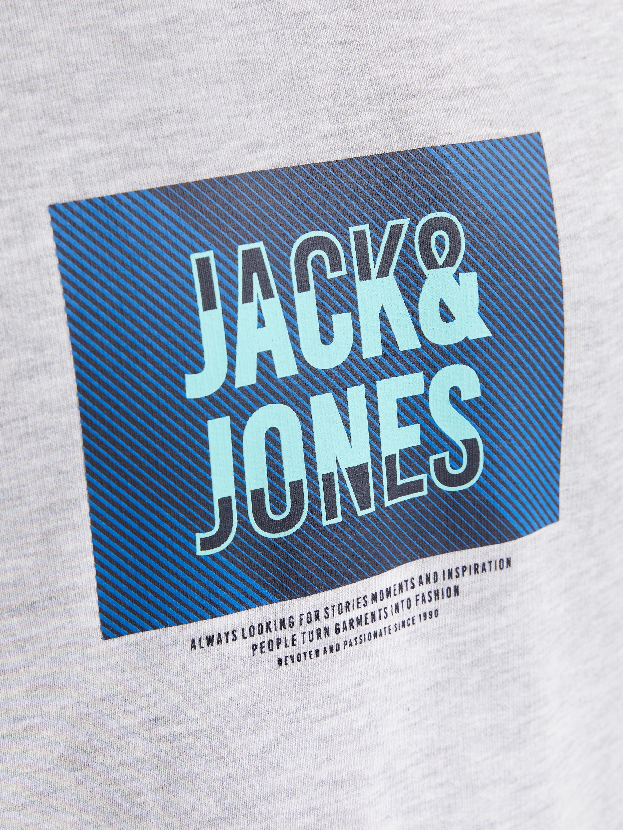 Jack & Jones Sweatshirt »JJHUDSON SWEAT CREW NECK«