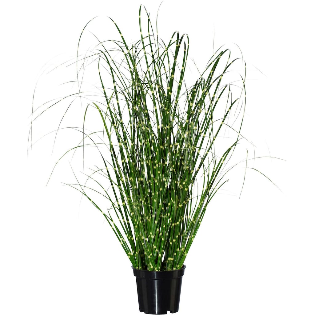 Creativ green Kunstgras »Miscanthus«