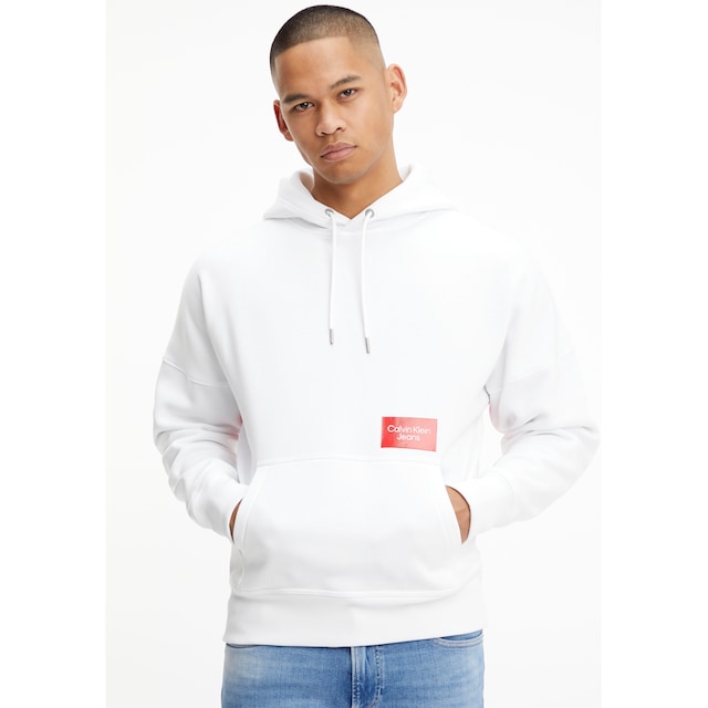 Calvin Klein Jeans Kapuzensweatshirt »BOLD LOGO COLORBLOCK HOODIE«, mit  Calvin Klein Logodruck auf dem Rücken ▷ bestellen | BAUR