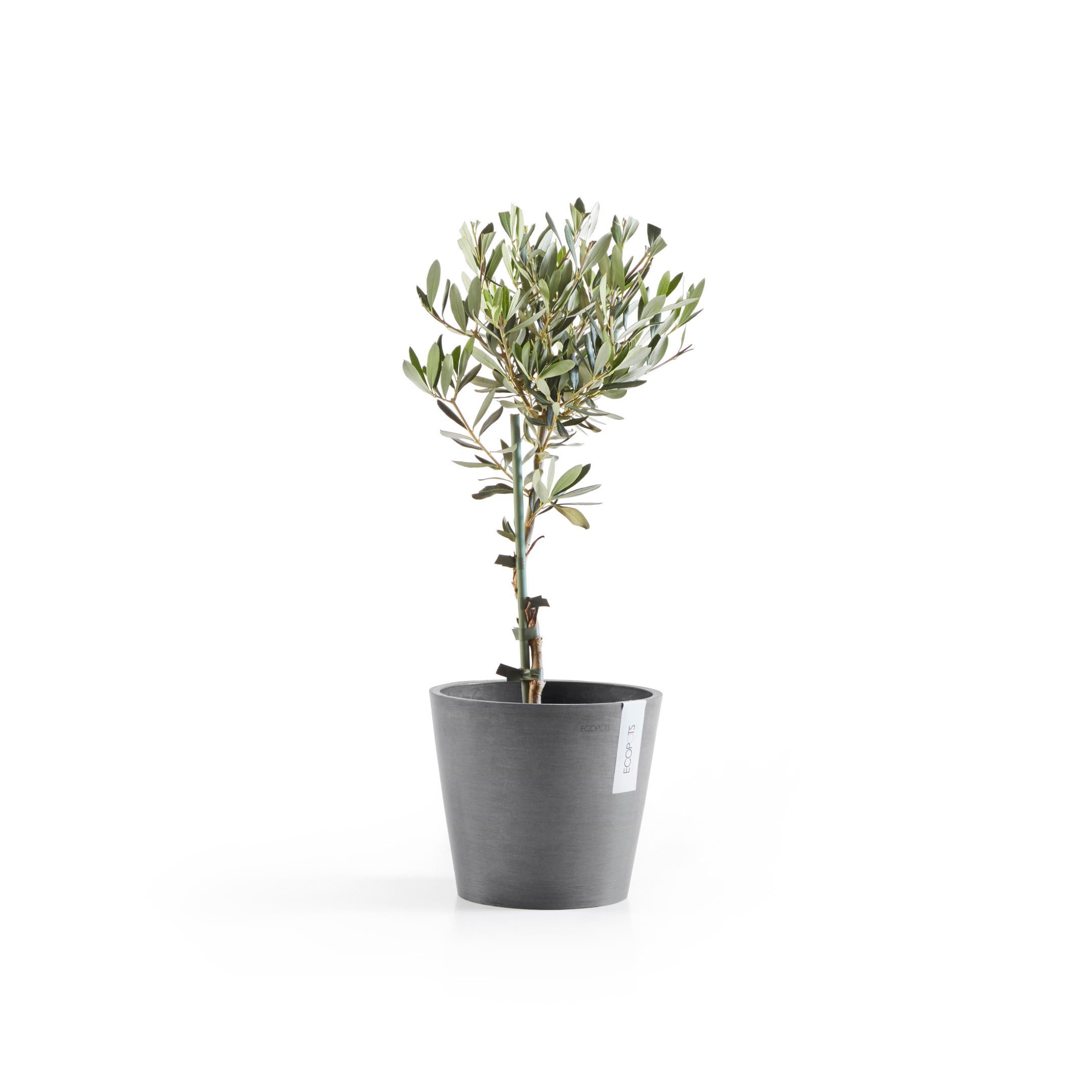 ECOPOTS Blumentopf »Amsterdam«, ØxH: 20x17,5 cm