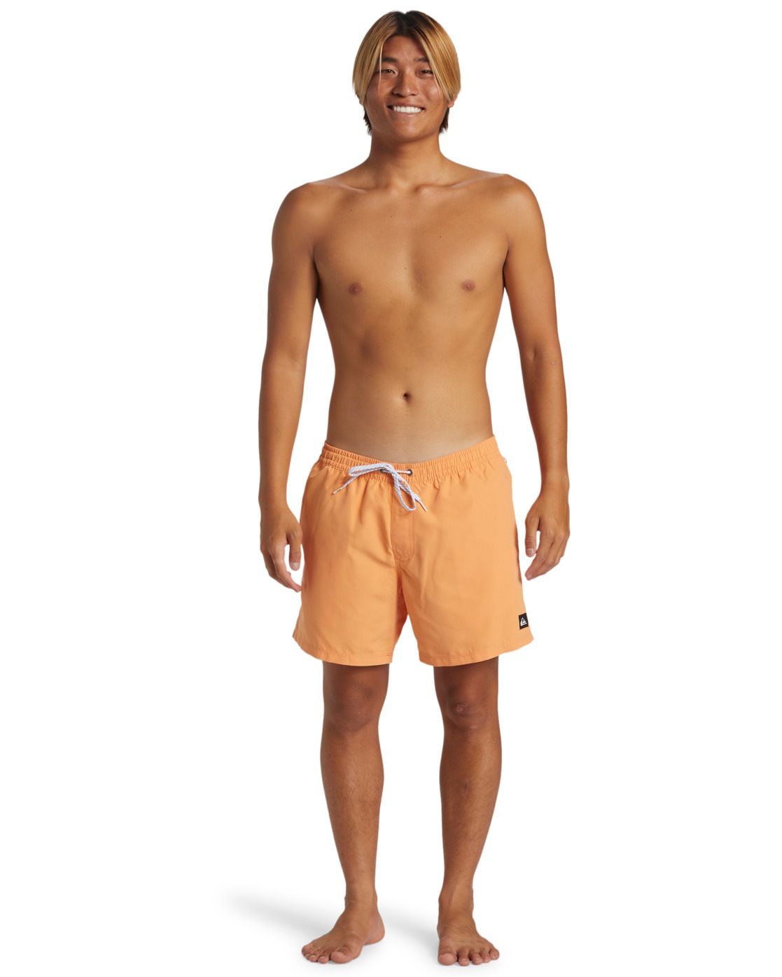 Quiksilver Boardshorts »Everyday Solid Volley 15"«