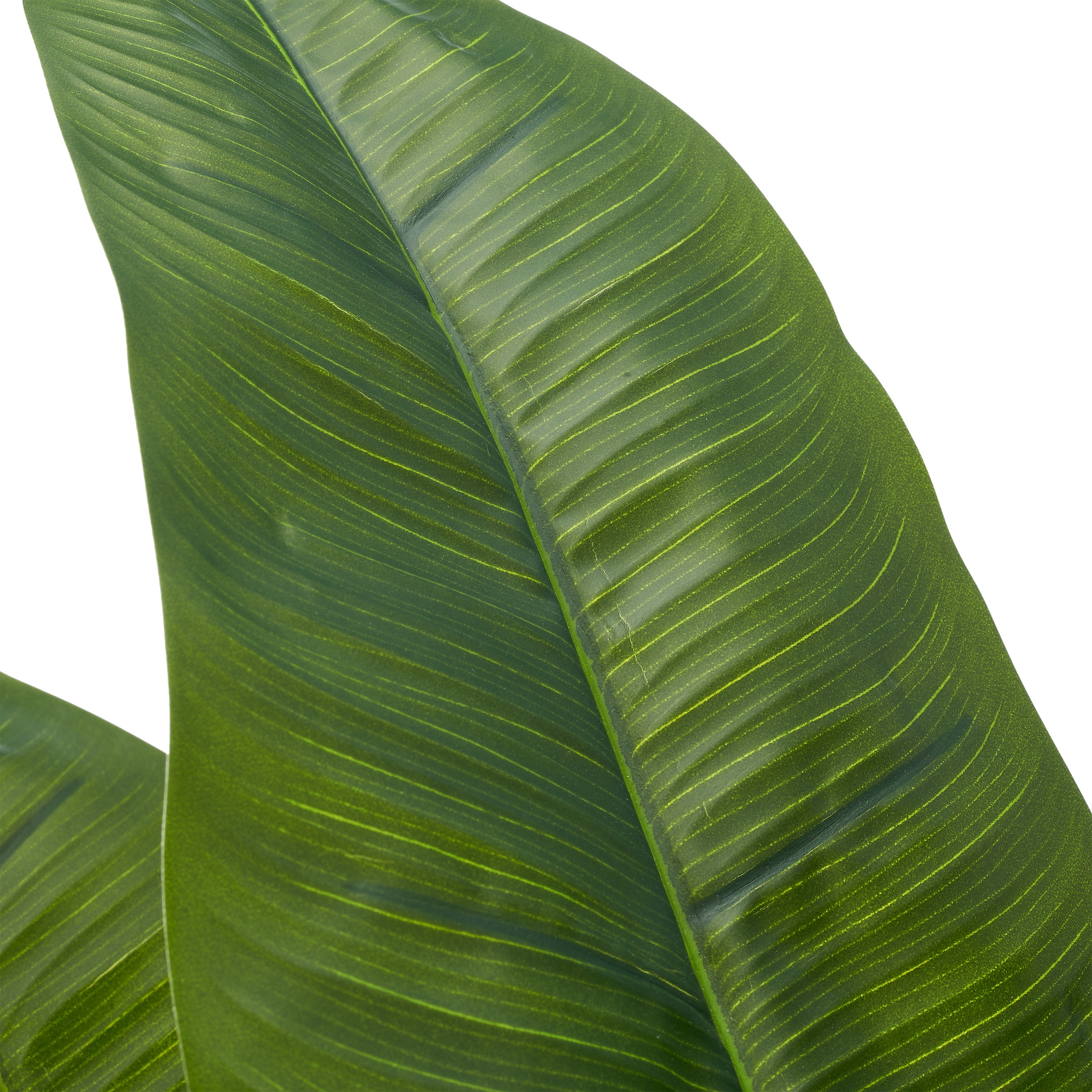Creativ green Kunstpalme »Banane« mit naturgetreuem Blattwerk