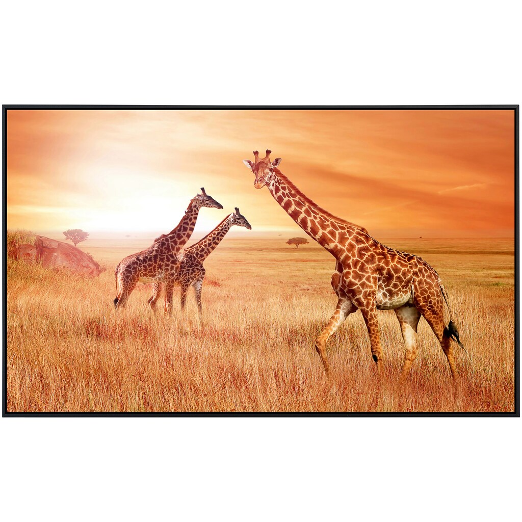 Papermoon Infrarotheizung »Afrikanische Giraffen«