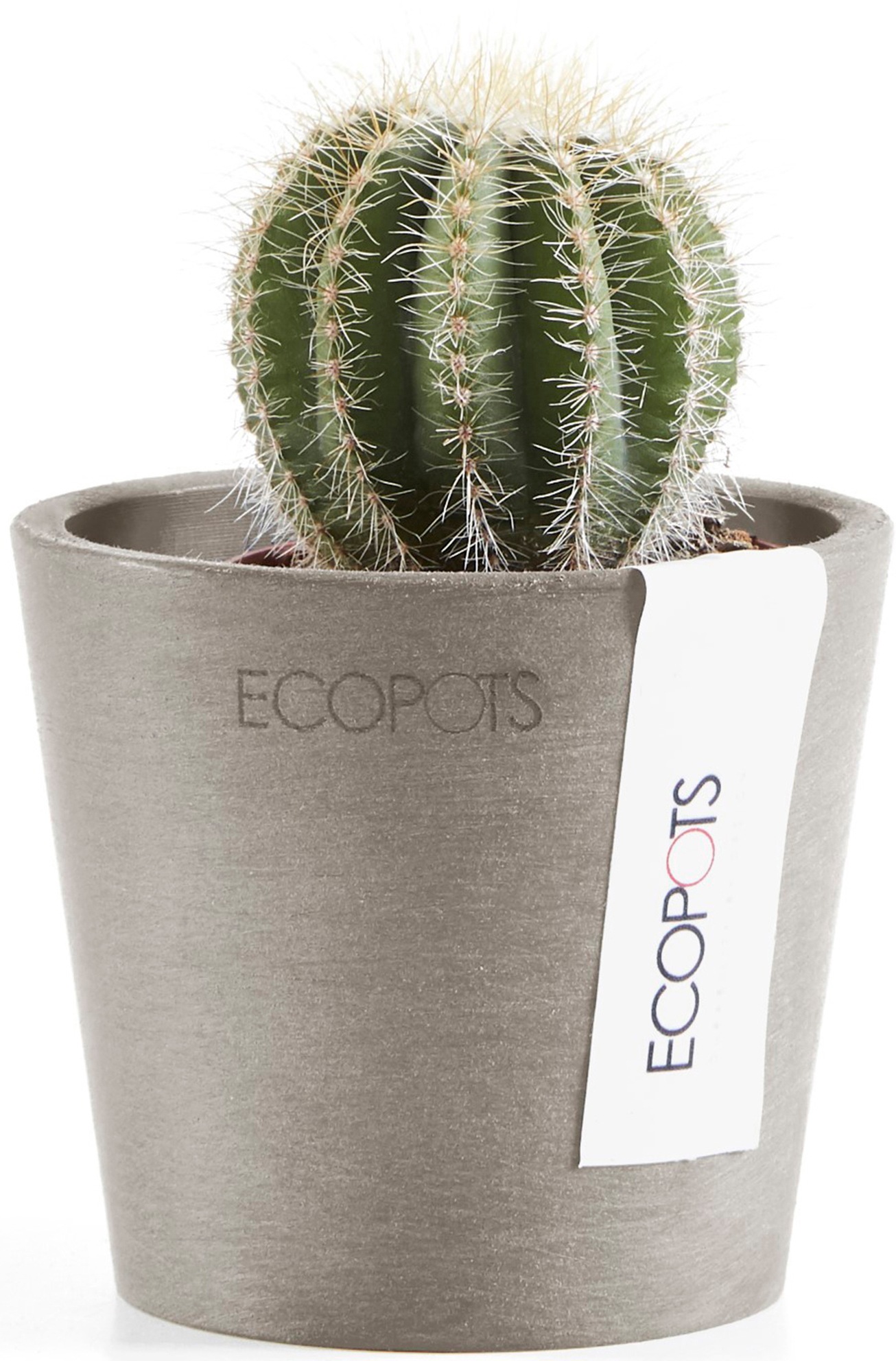 ECOPOTS Blumentopf »Amsterdam Mini 8 Taupe«, für den Innenbereich