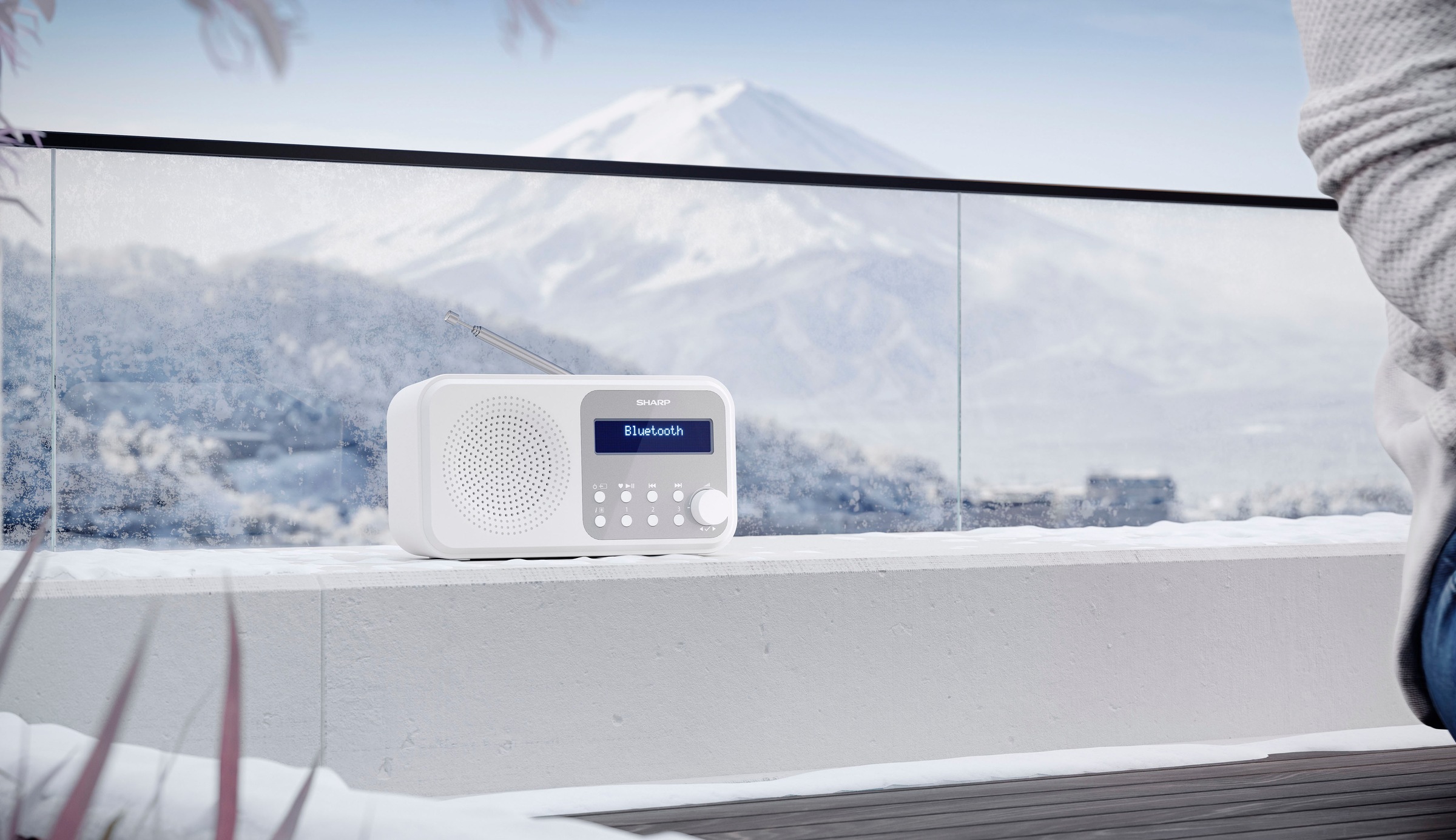 Sharp Radio »DR-P420«, (Bluetooth-A2DP Bluetooth-AVRCP Bluetooth Digitalradio (DAB+)-FM-Tuner mit RDS 2 W)