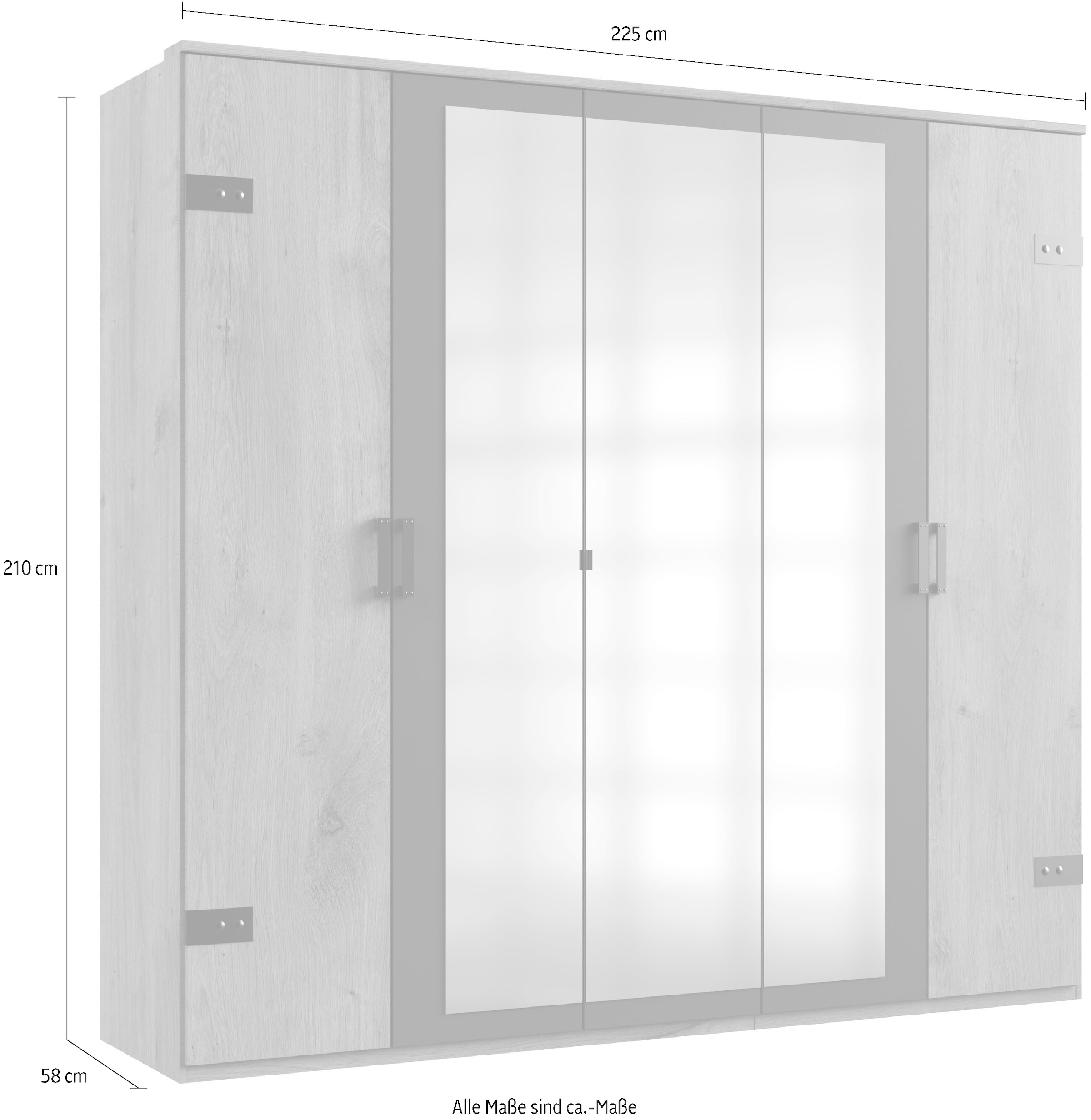Wimex Kleiderschrank »Stockholm, rustikale Optik im Industrial Design, Made in Germany«, mit Spiegel, 225x58x210 cm, Made in Germany