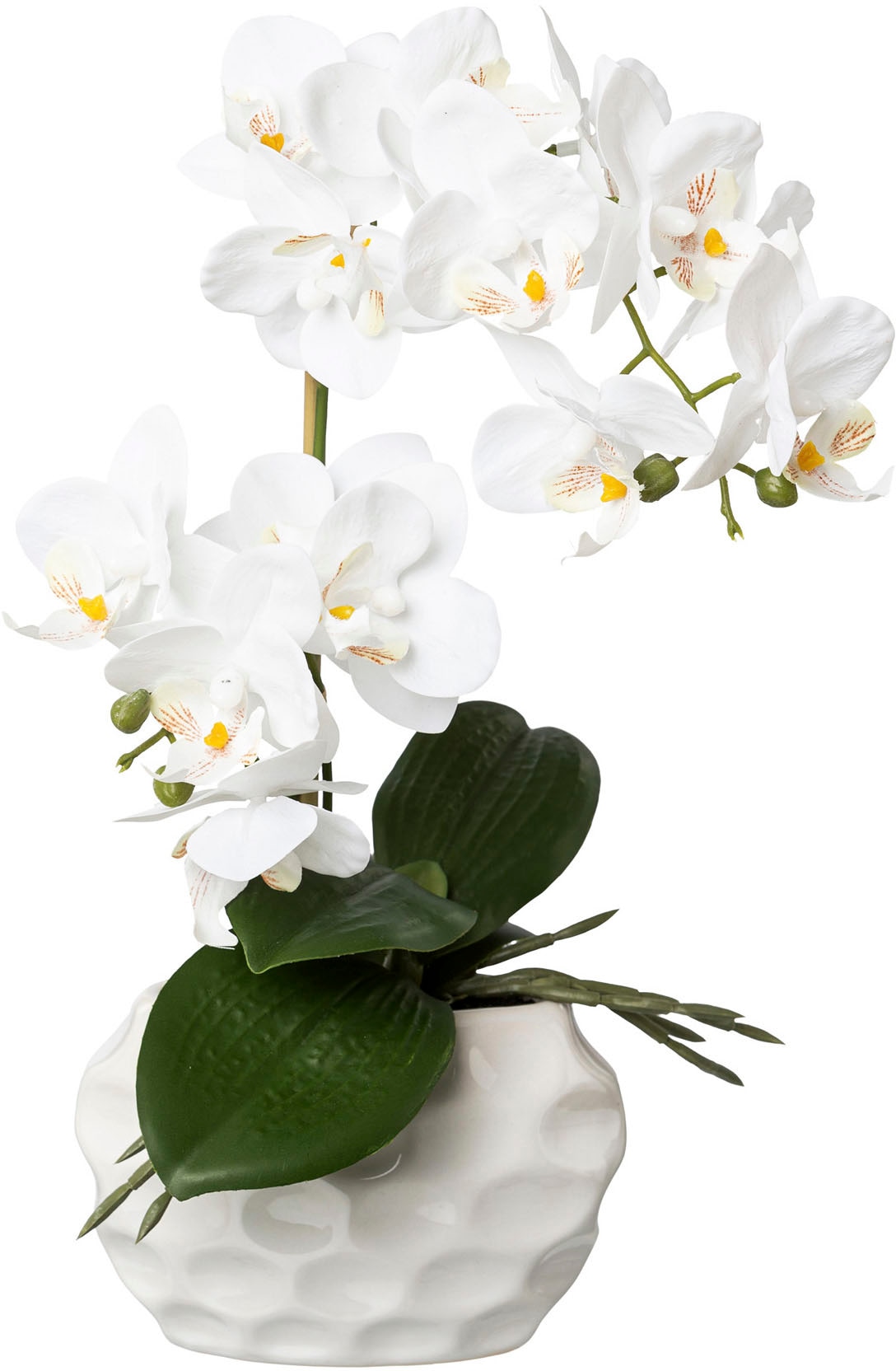 Creativ green Kunstorchidee "Deko-Orchidee Phalaenopsis im Keramiktopf"