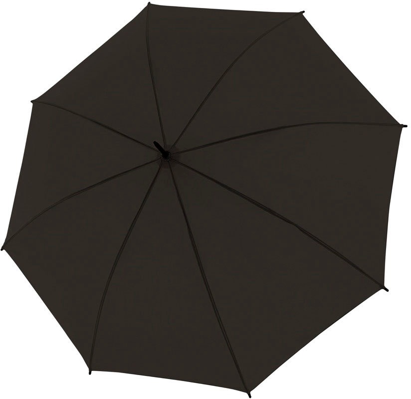 derby Regenschirme Online-Shop auf BAUR | Rechnung ▷