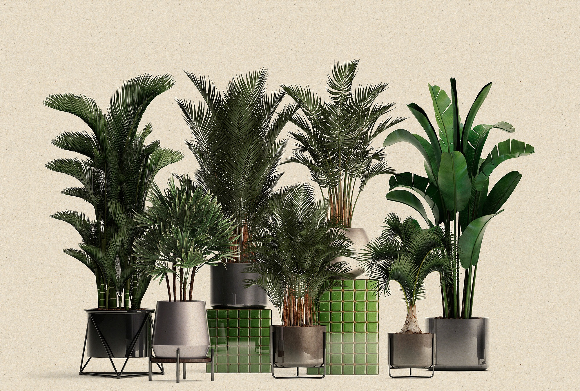 living walls Fototapetas »Walls by Patel Plant Shop...