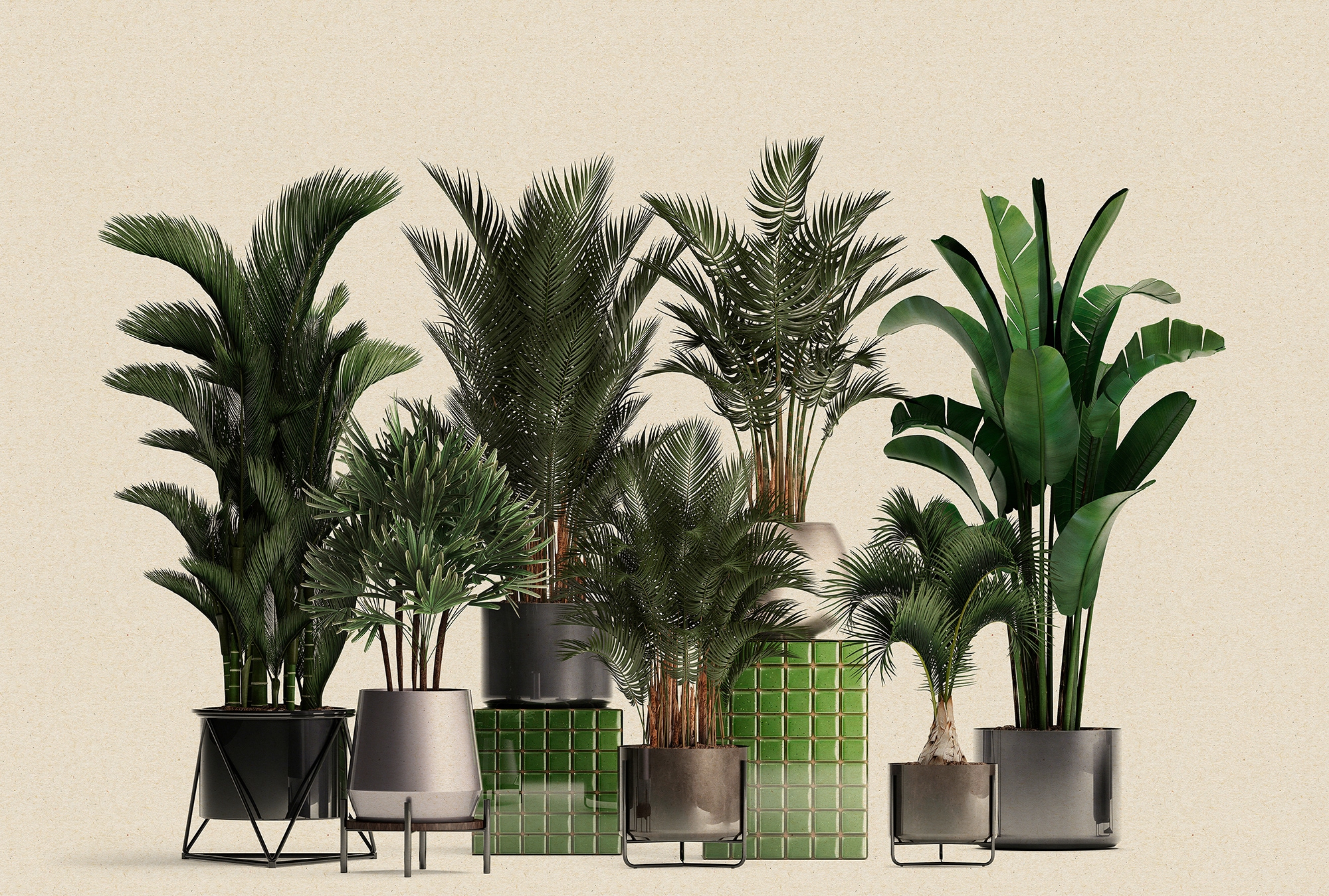 living walls Fototapete "Walls by Patel Plant Shop" glatt Vlies, Wand günstig online kaufen