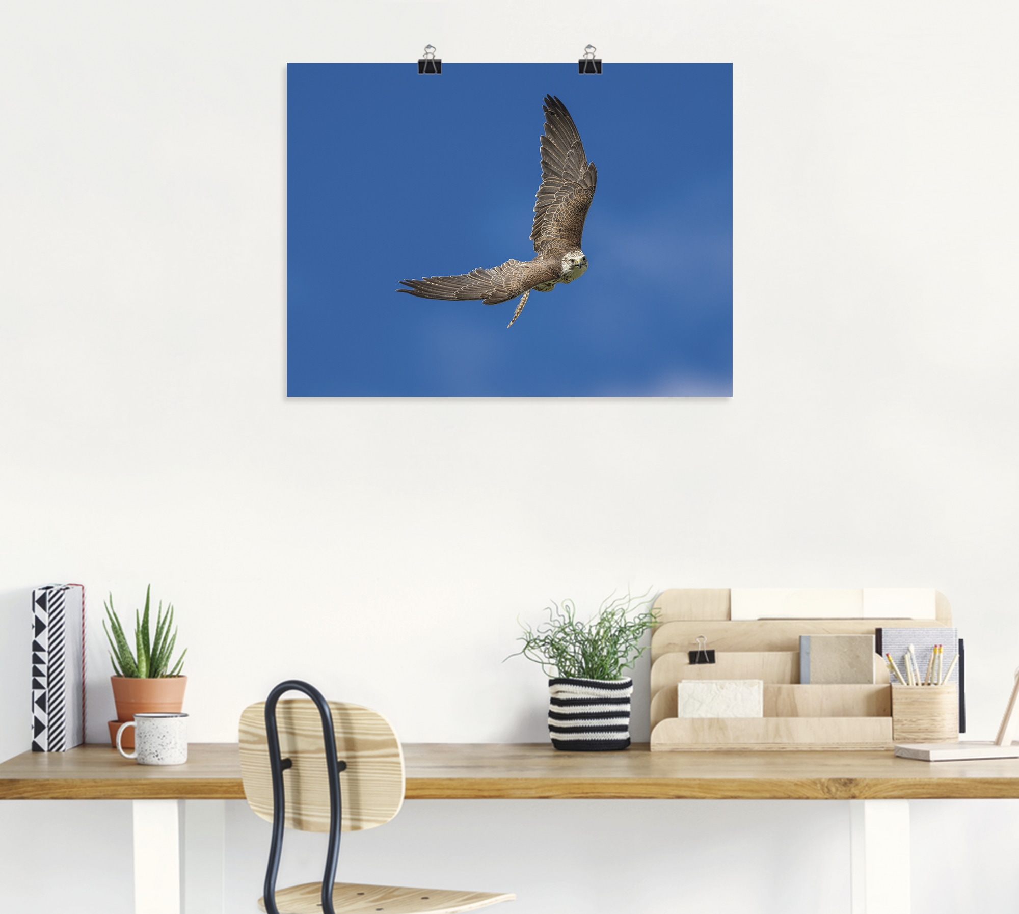 Artland Wandbild »Der Falke«, Vögel, (1 St.), als Leinwandbild, Poster in verschied. Größen