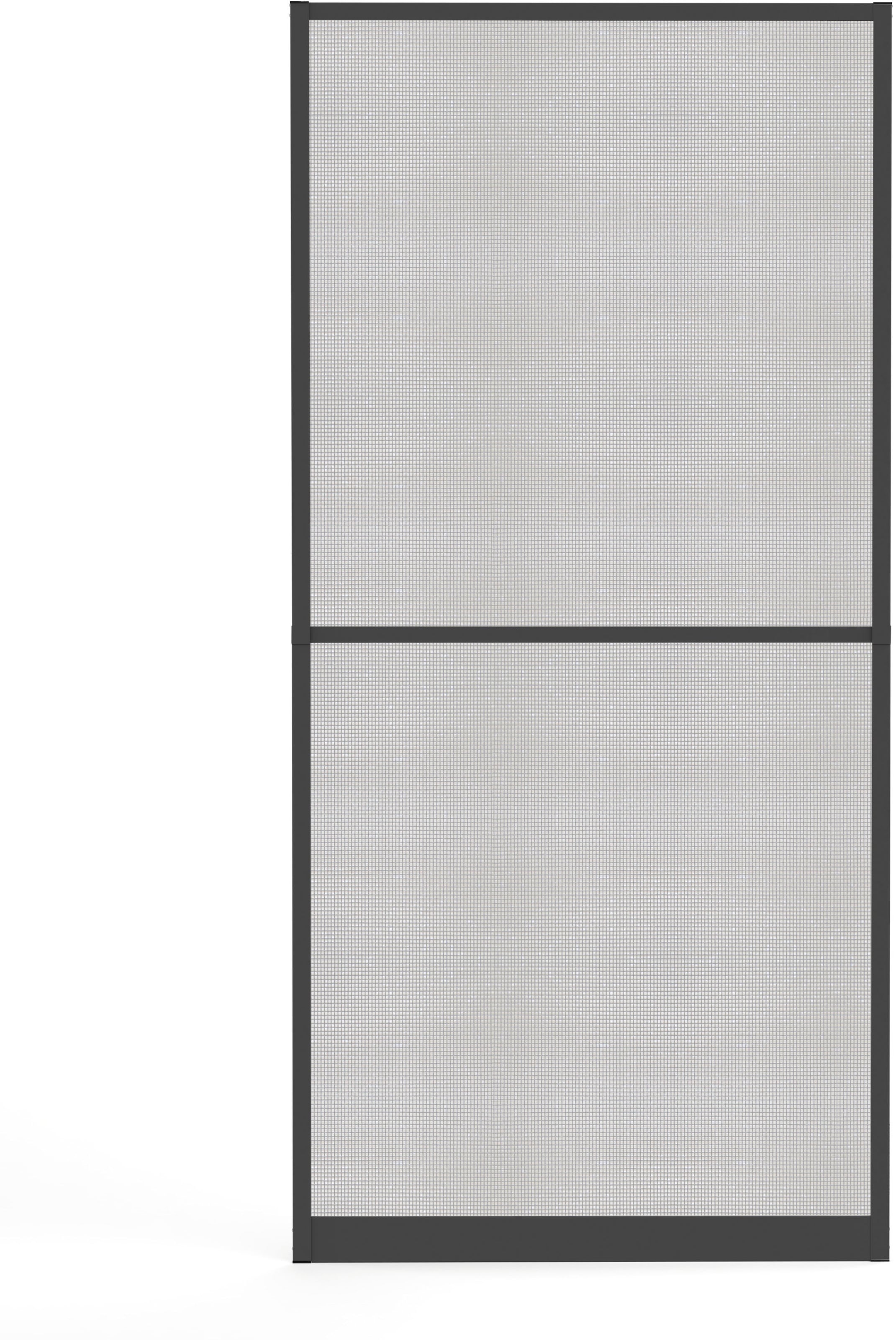 Insektenschutz-Tür »MASTER SLIM+«, anthrazit/anthrazit, BxH: 100x210 cm