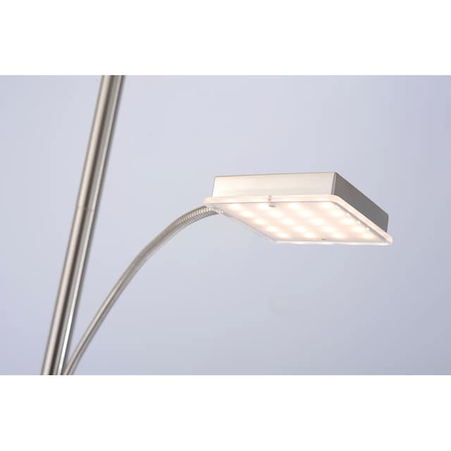 JUST LIGHT Stehlampe »HANS«, 2 flammig-flammig, LED, dimmbar über  Touchdimmer, Schalter, Touchschalter | BAUR