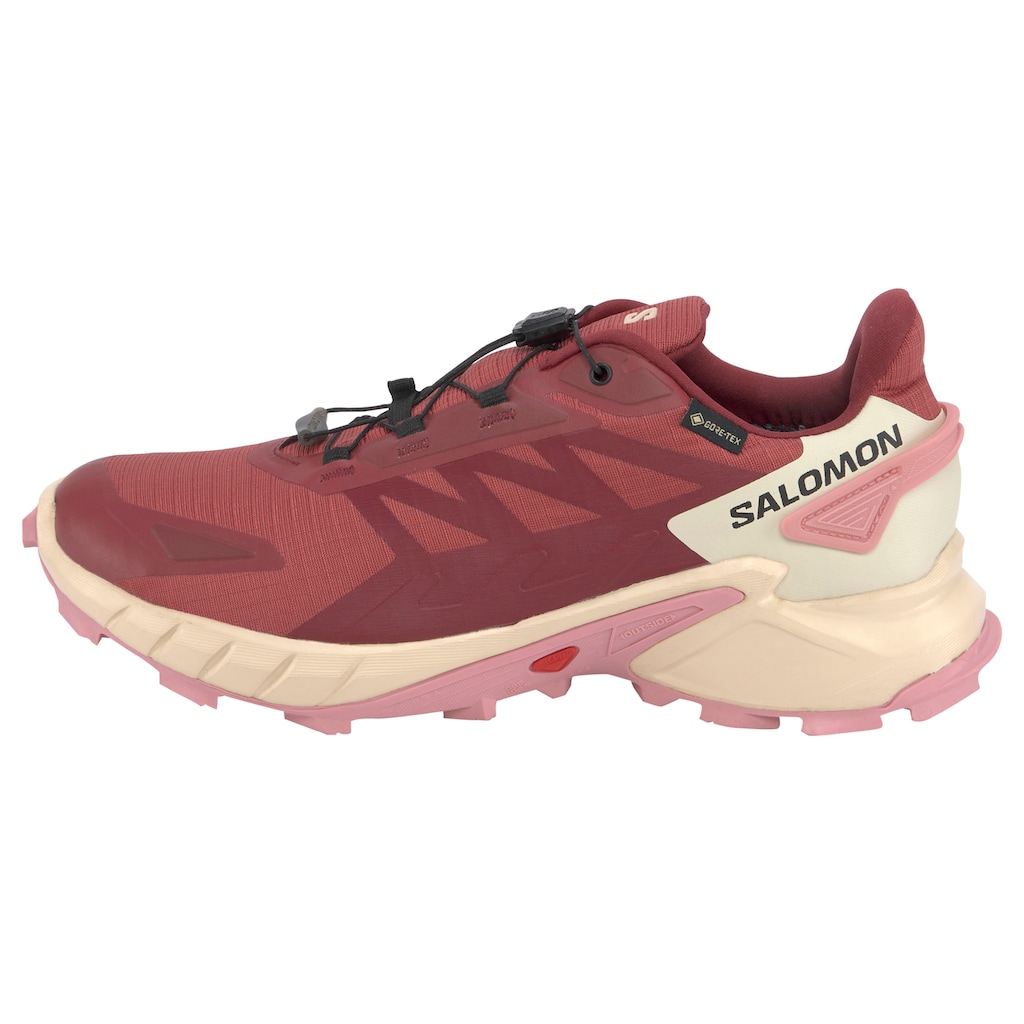 Salomon Trailrunningschuh »SUPERCROSS 4 GORE-TEX«, wasserdicht