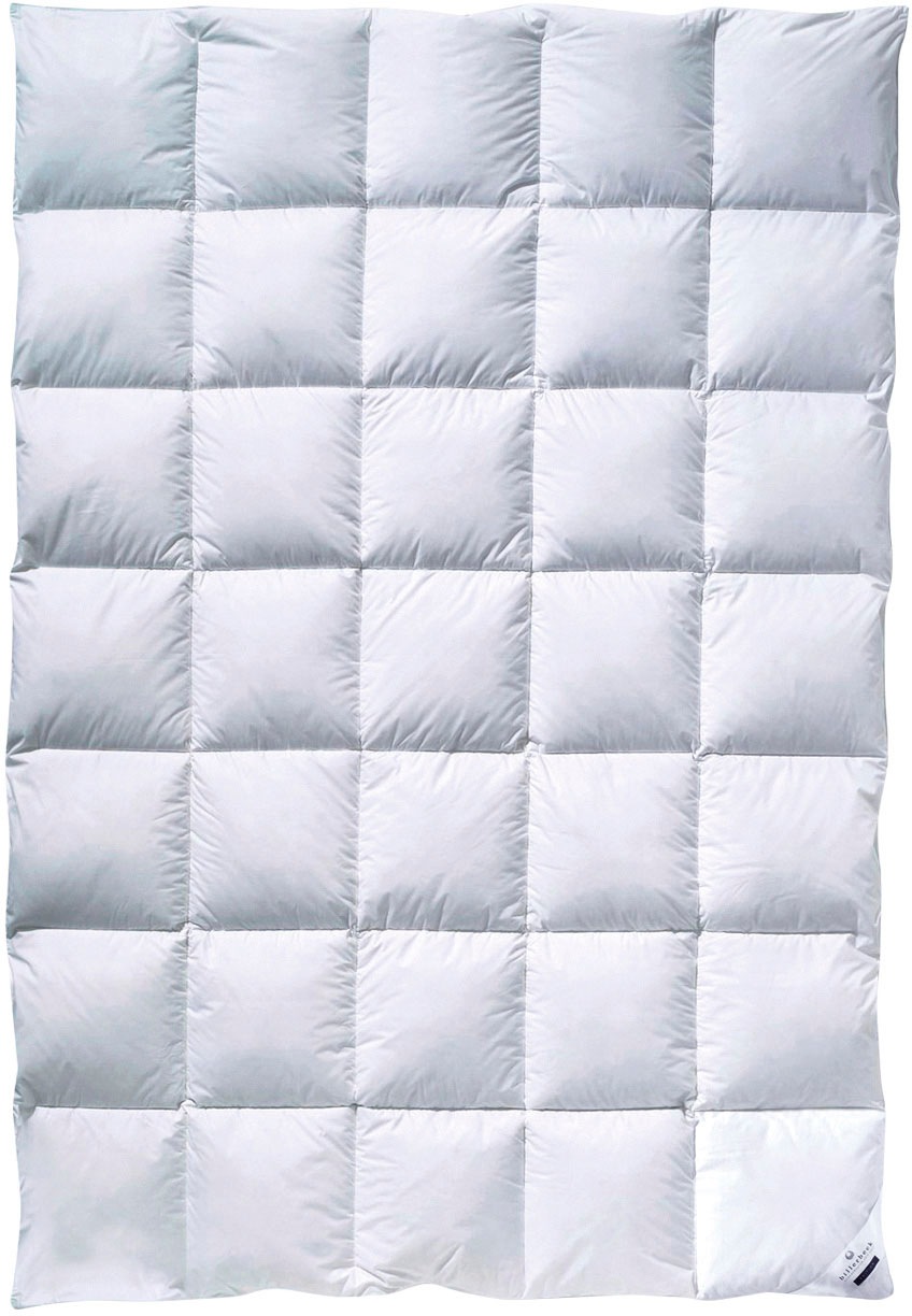 billerbeck Gänsedaunenbettdecke "Geneva 90, Bettdecke für Sommer und Winter günstig online kaufen