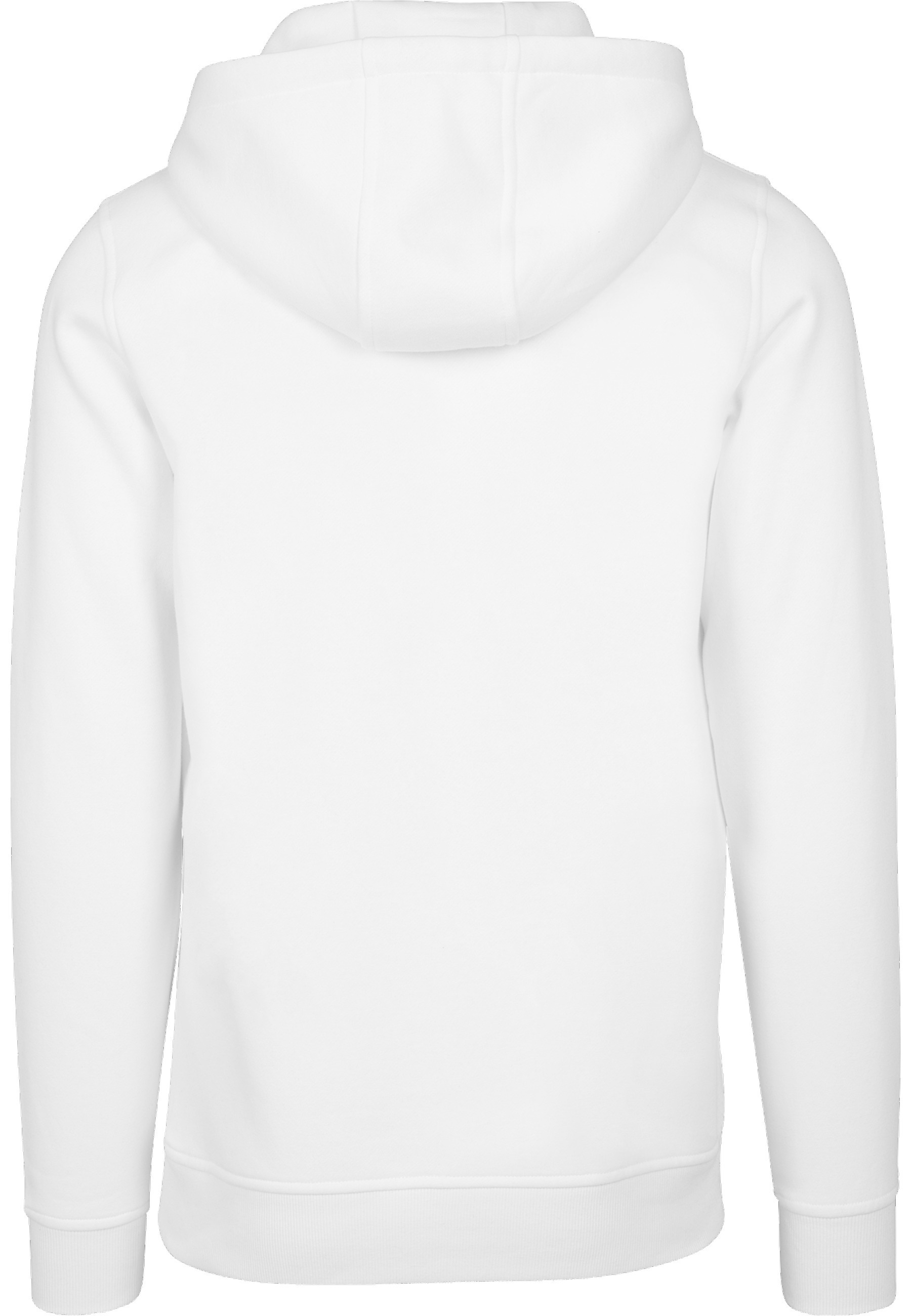 MisterTee Kapuzensweatshirt "MisterTee Herren Seagull Sneakers Hoody", 1 St günstig online kaufen