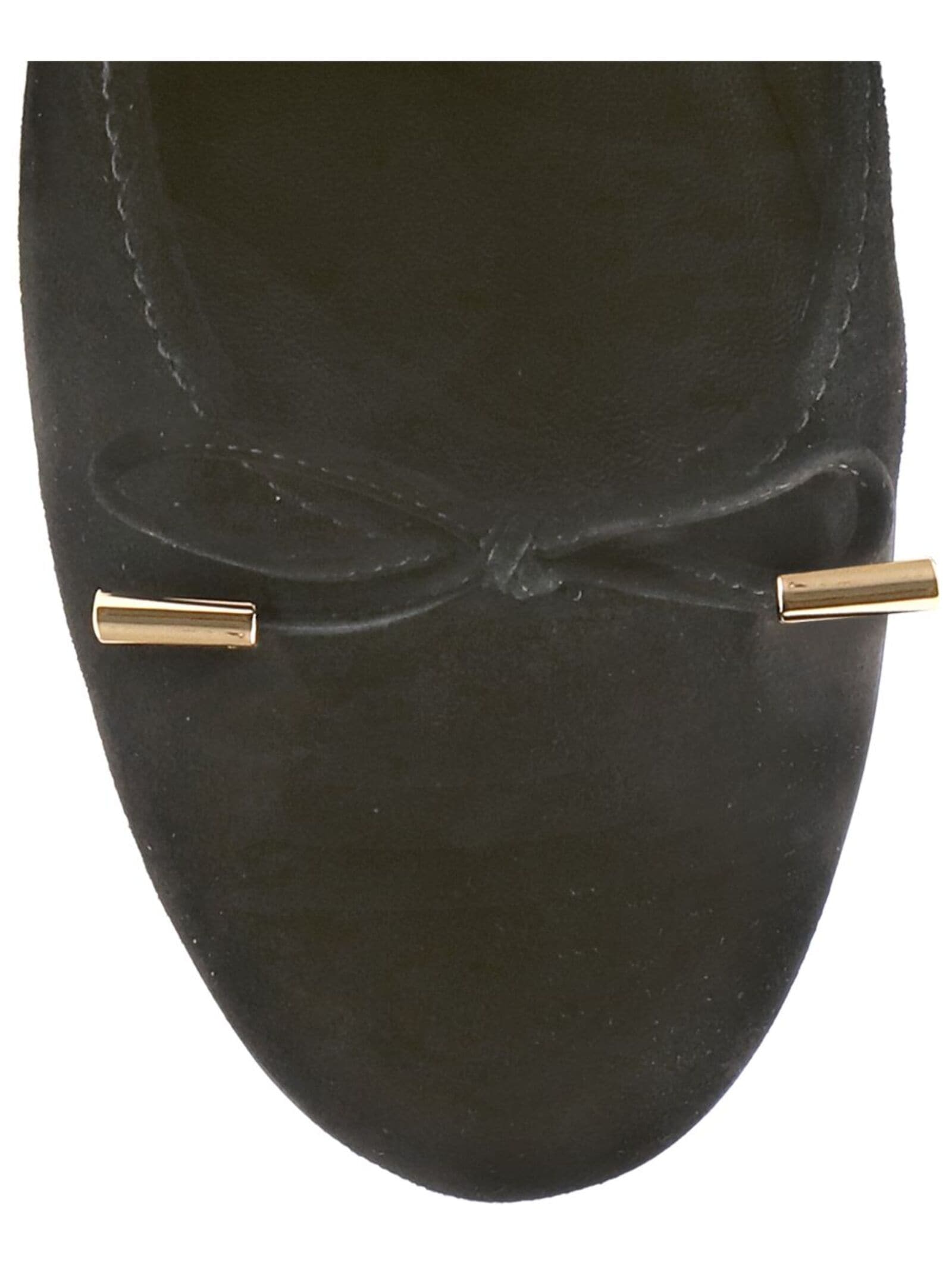 Högl Ballerina »Högl Ballerinas Veloursleder«