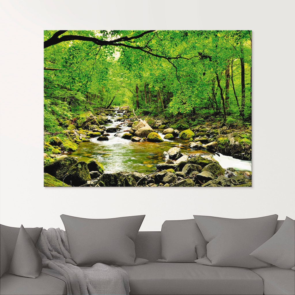 Artland Glasbild »Herbstwald Fluss Smolny«, Wald, (1 St.)