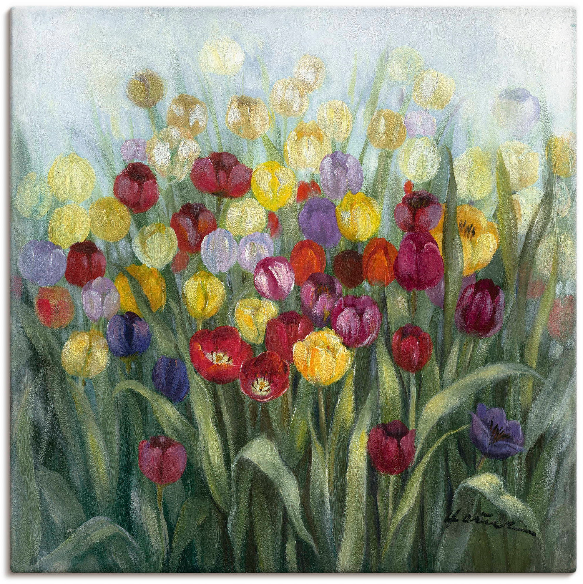 Artland Leinwandbild "Tulpenwiese II" Blumenwiese 1 Stk. tlg. als Alubild, günstig online kaufen