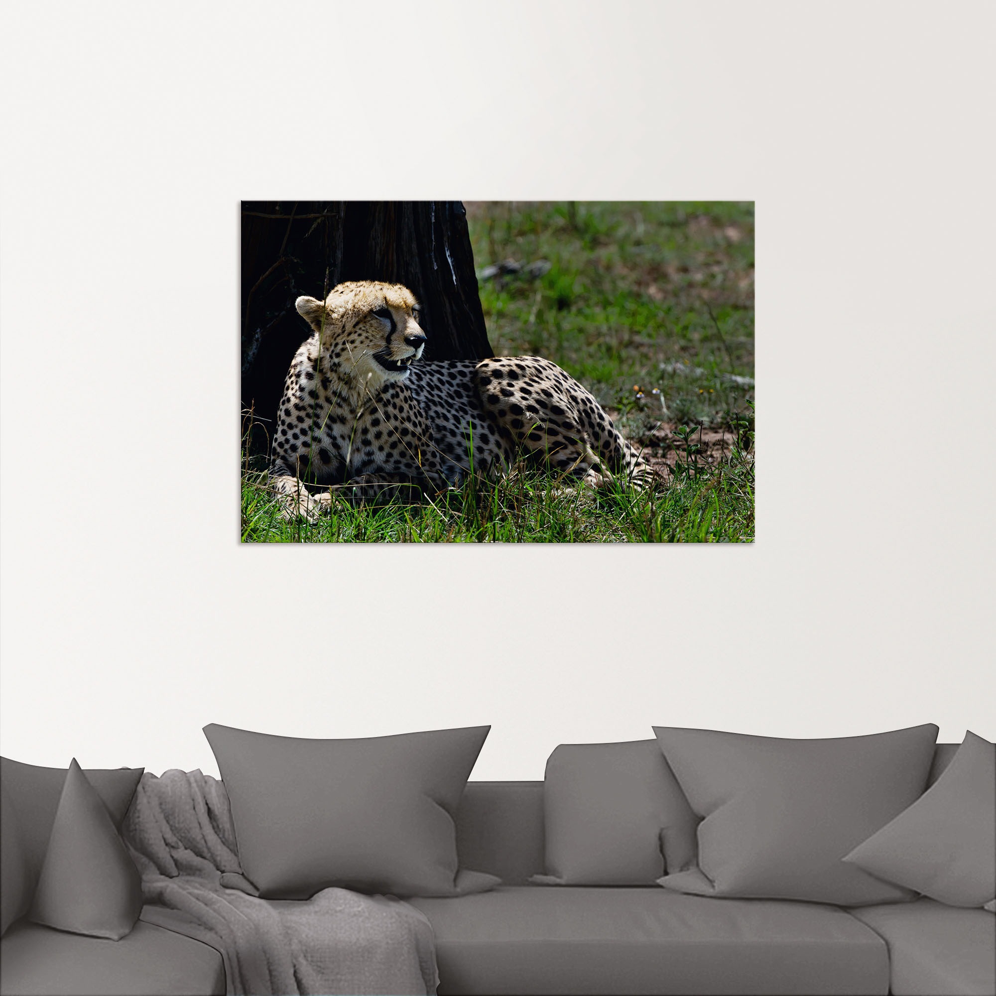 Artland Wandbild »Gephard bei seiner Mittagsruhe«, Geparden Bilder, (1 St.), als Alubild, Leinwandbild, Wandaufkleber oder Poster in versch. Größen