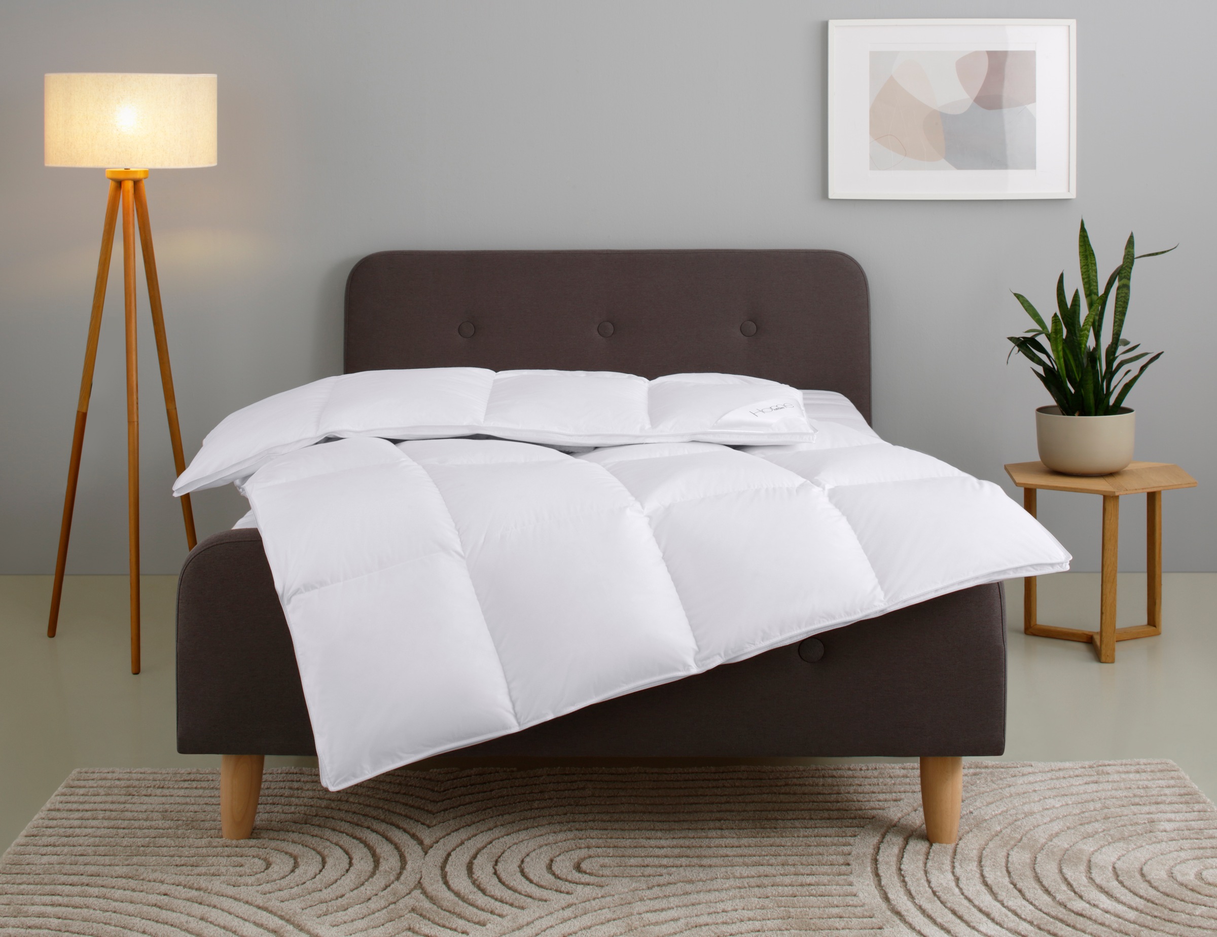 Home affaire Daunenbettdecke "Litrone, Bettdecke 135x200 cm, 155x220 cm, 20 günstig online kaufen