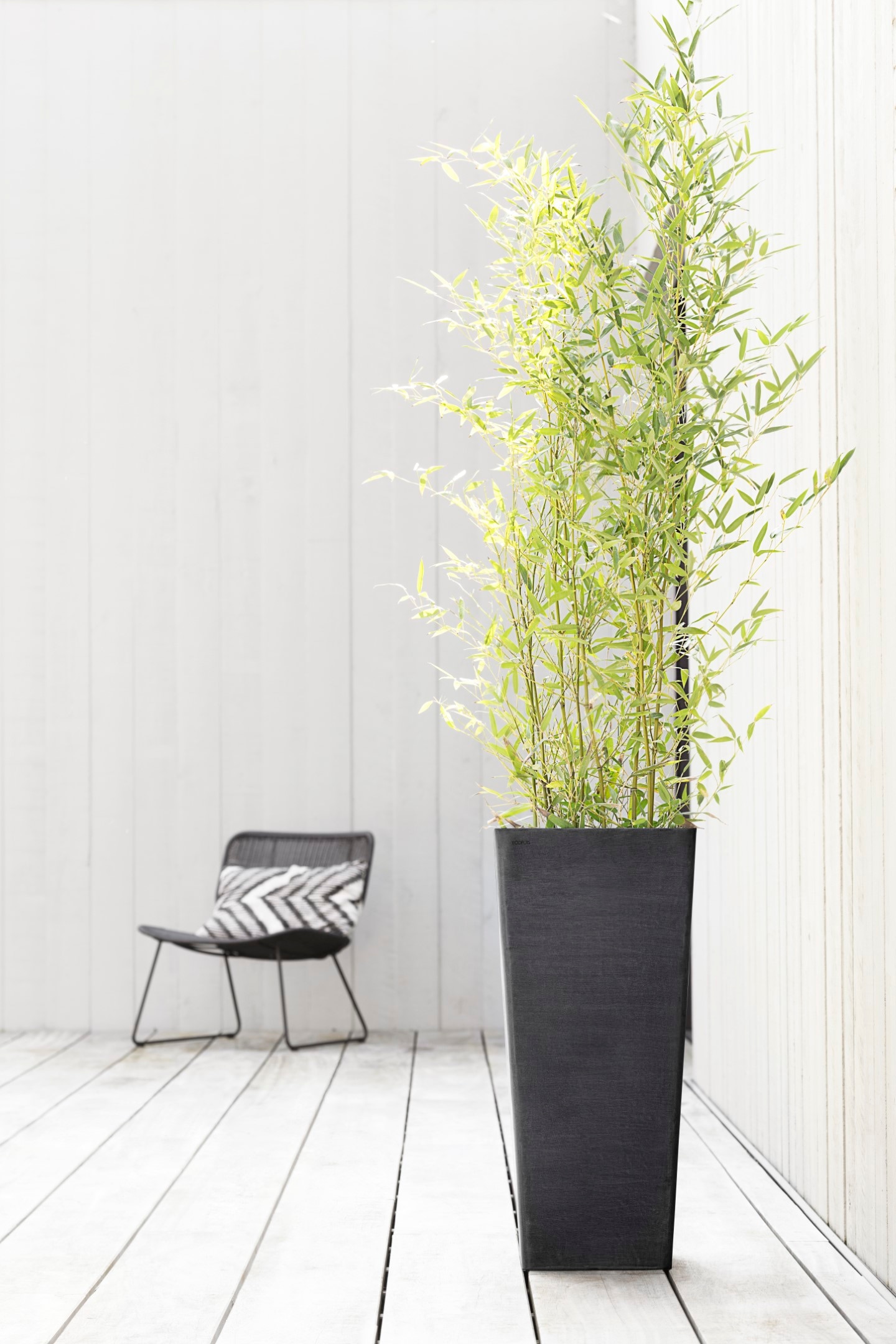 ECOPOTS Blumentopf »ROTTERDAM HIGH Dark Grey«, BxTxH: 32x32x70 cm