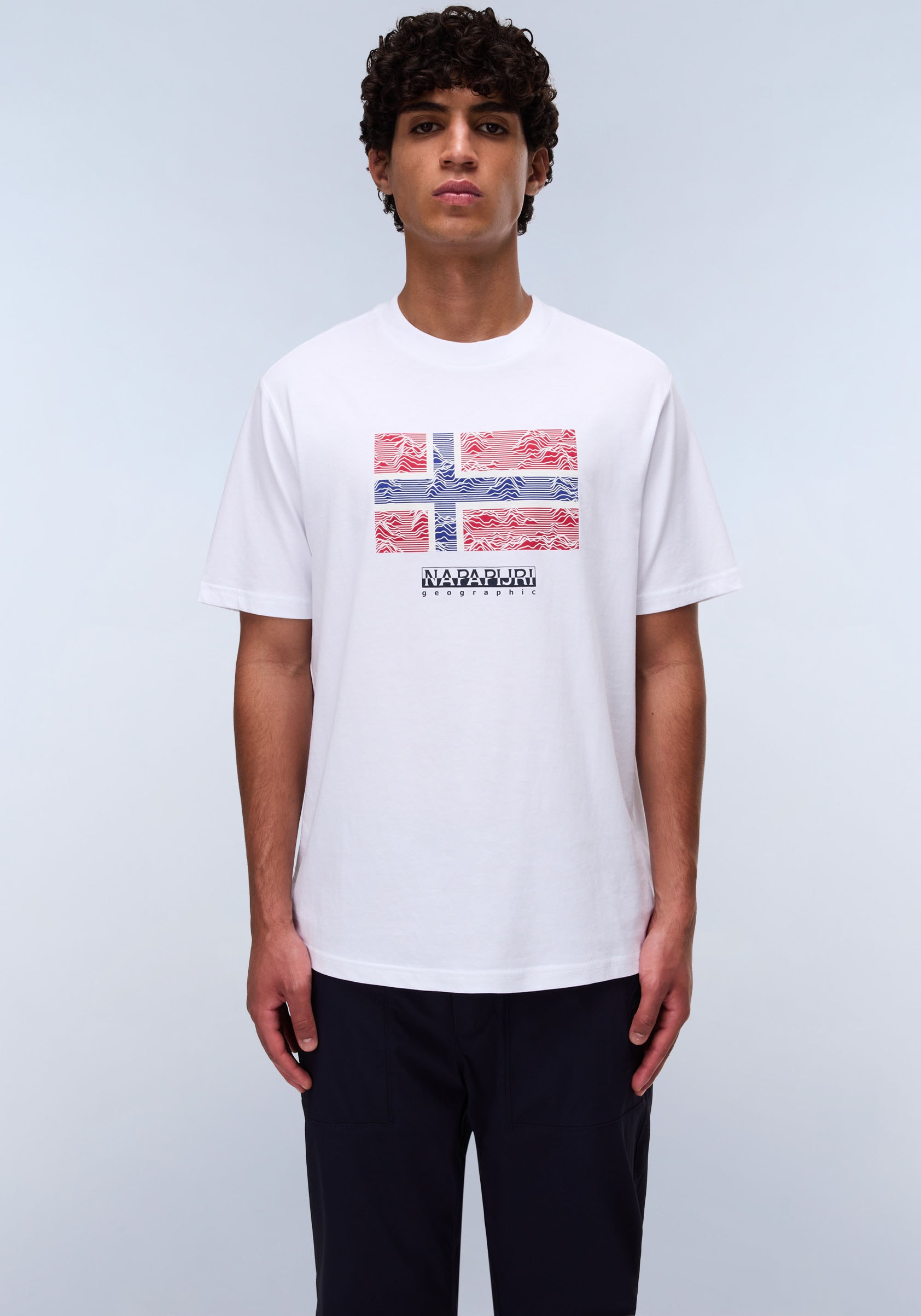 Napapijri T-Shirt "DRAPEAU", mit Print, Rundhals, Jersey günstig online kaufen