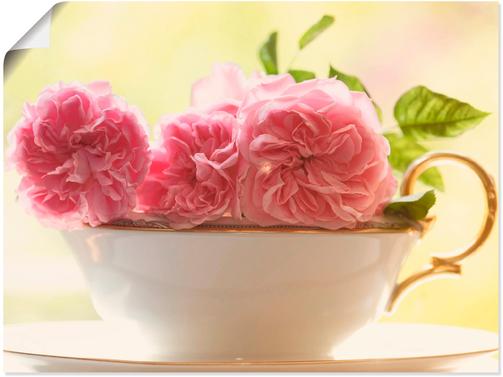 Artland Wandbild "Vintage Rosen" Blumen 1 Stk. tlg. als Leinwandbild, Poste günstig online kaufen