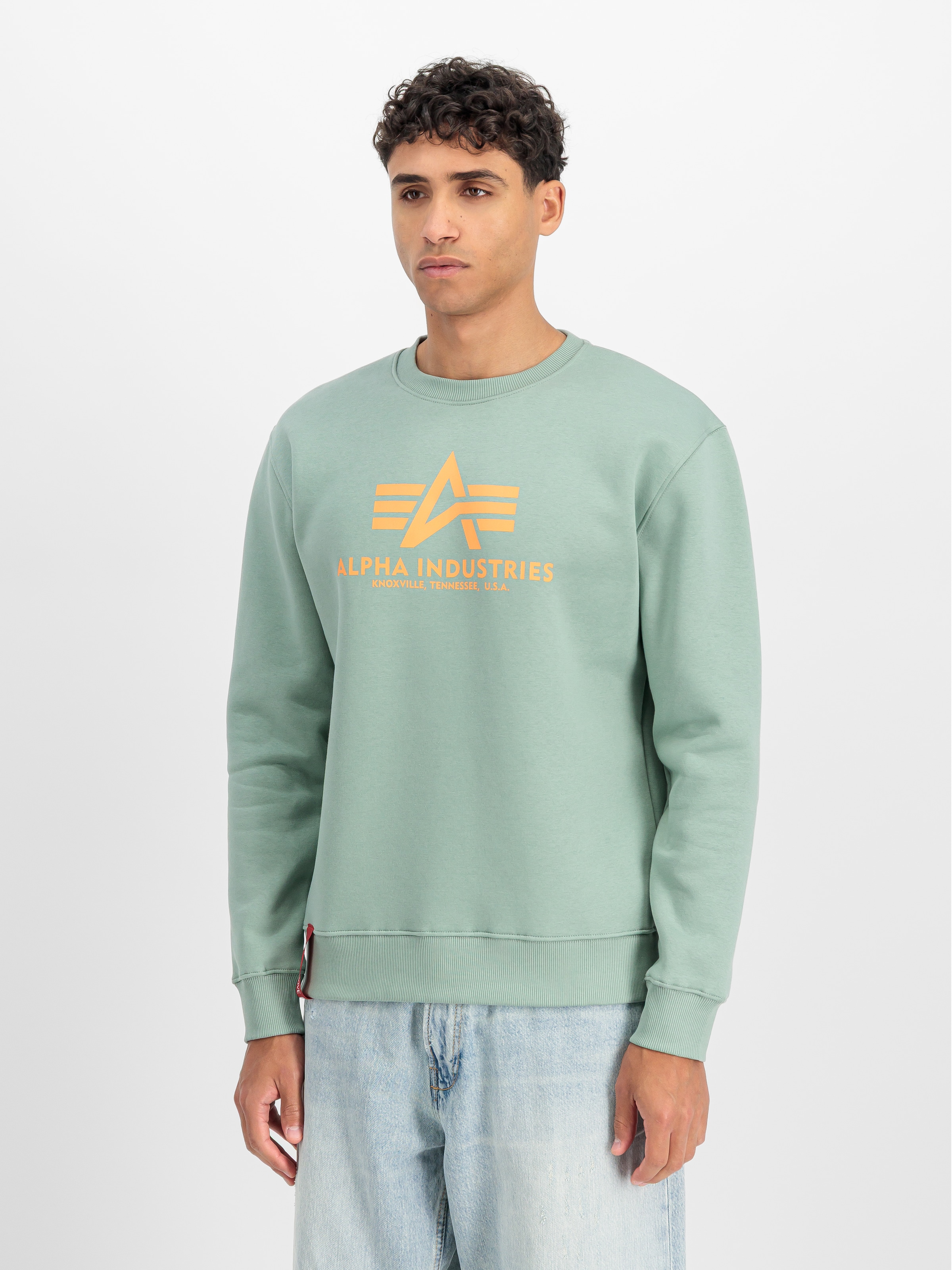 Alpha Industries "Basic Sweater", Baumwollmischung, regular fit günstig online kaufen