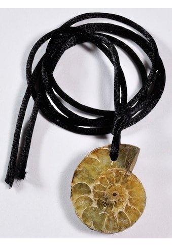 Adelia´s Kette ohne Anhänger »Ammonit Halskette 42 cm« kaufen