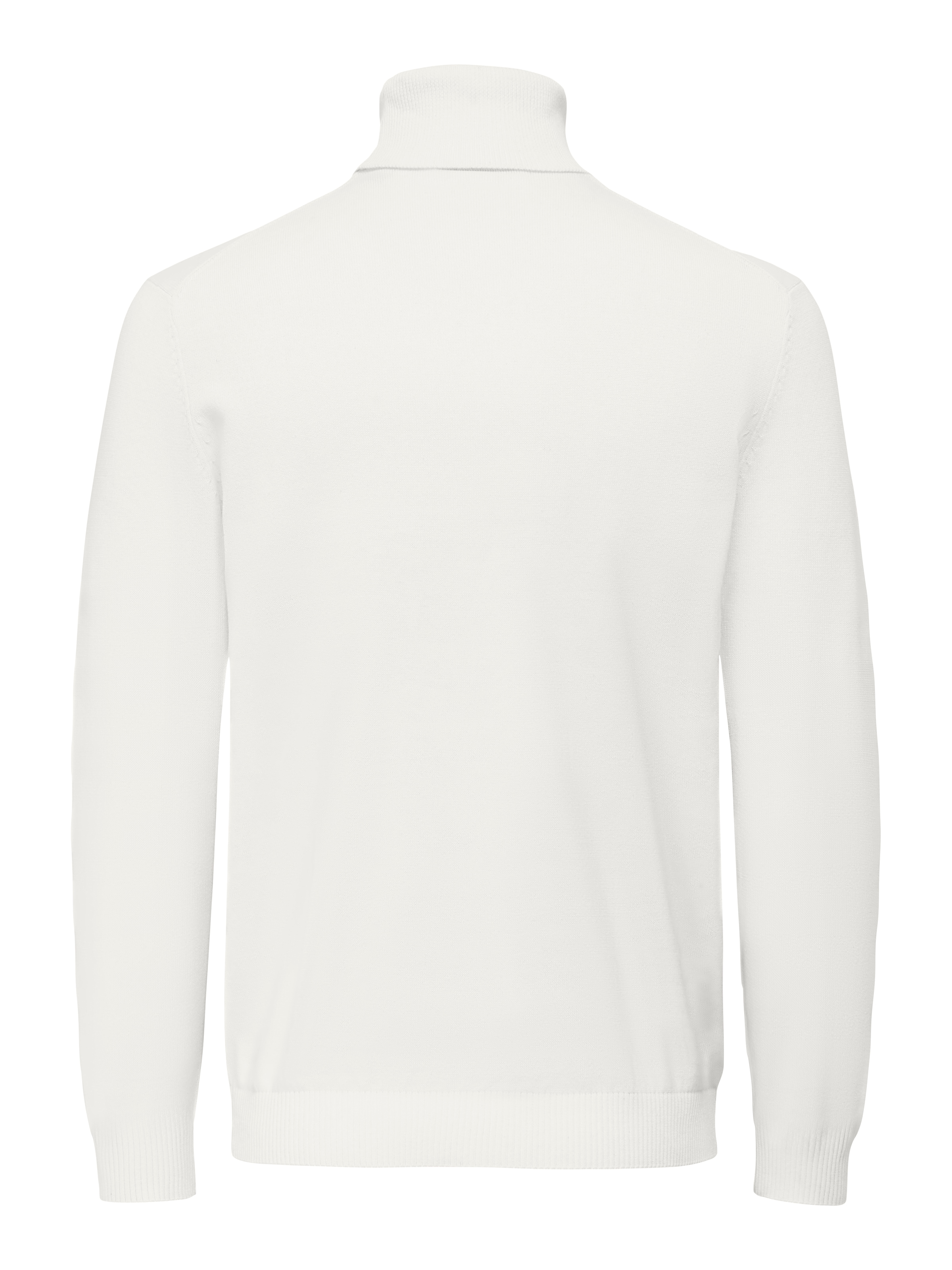 ONLY & SONS Rollkragenpullover »ONSHOLGER REG ROLL NECK KNIT - OTL«