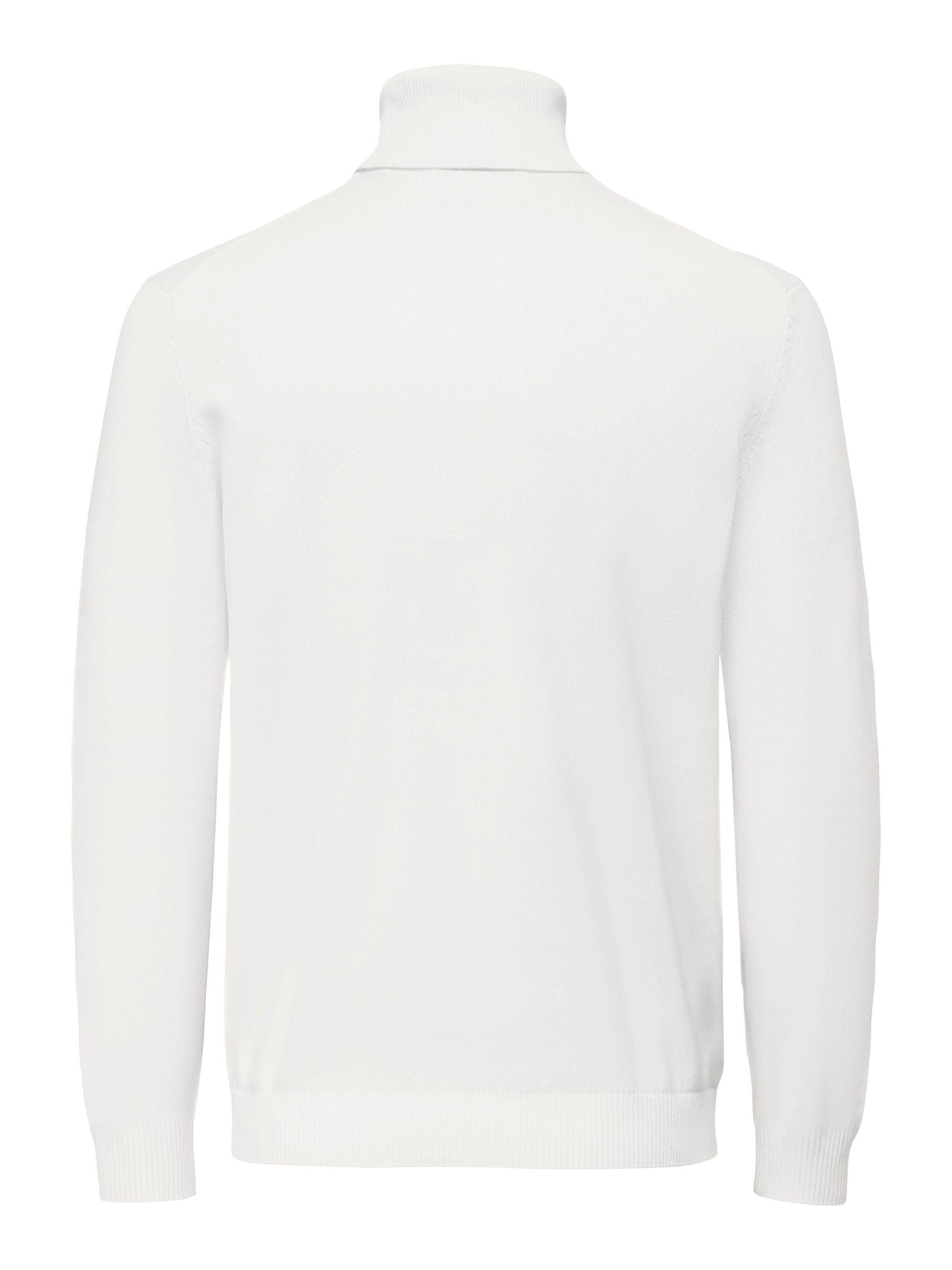 ONLY & SONS Rollkragenpullover "ONSHOLGER REG ROLL NECK KNIT - OTL" günstig online kaufen