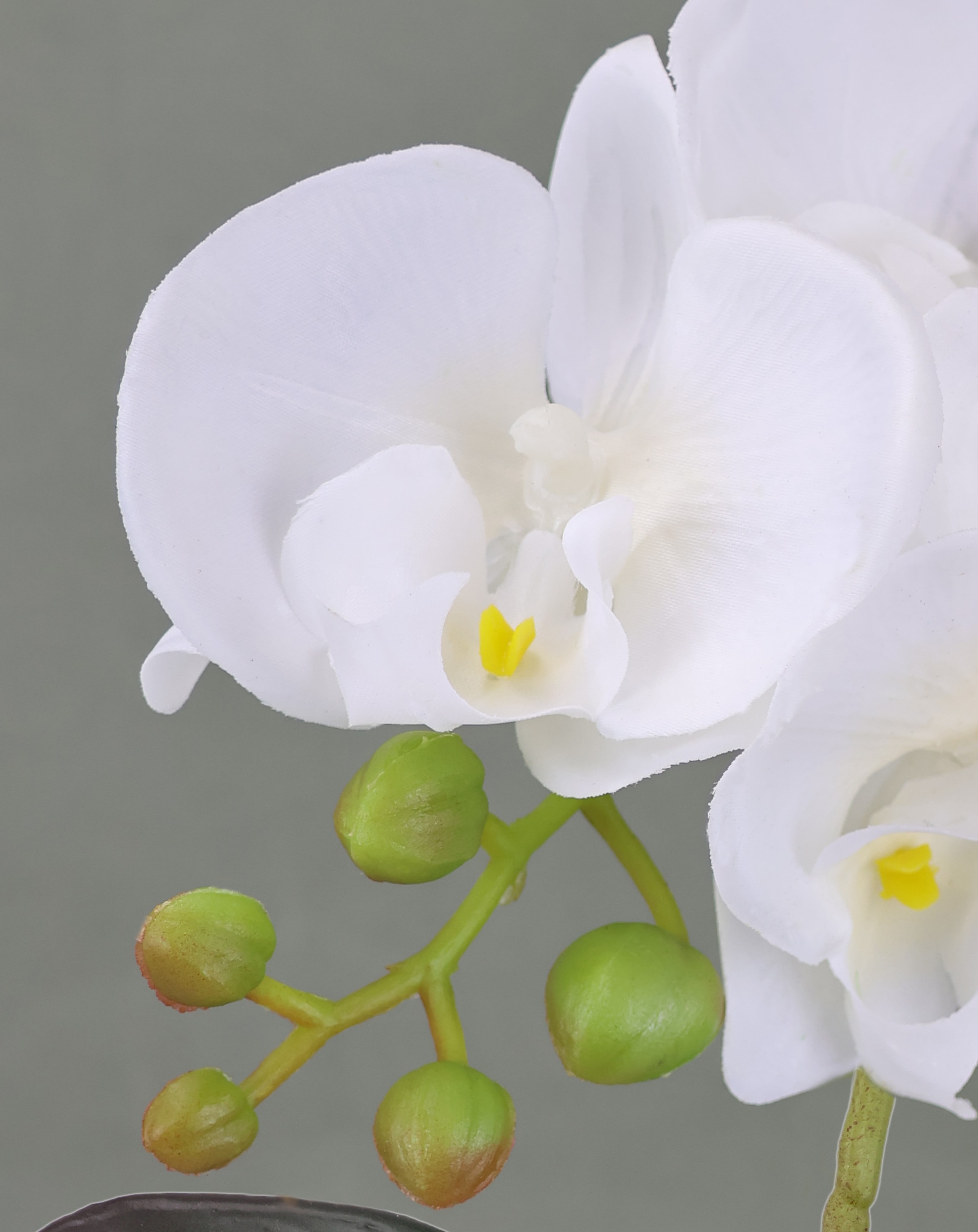 I.GE.A. Kunstorchidee »Orchidee im Topf 2er Set«, Künstliche Phalaenopsis 30cm Real Touch Blume Kunstblume Seidenblume