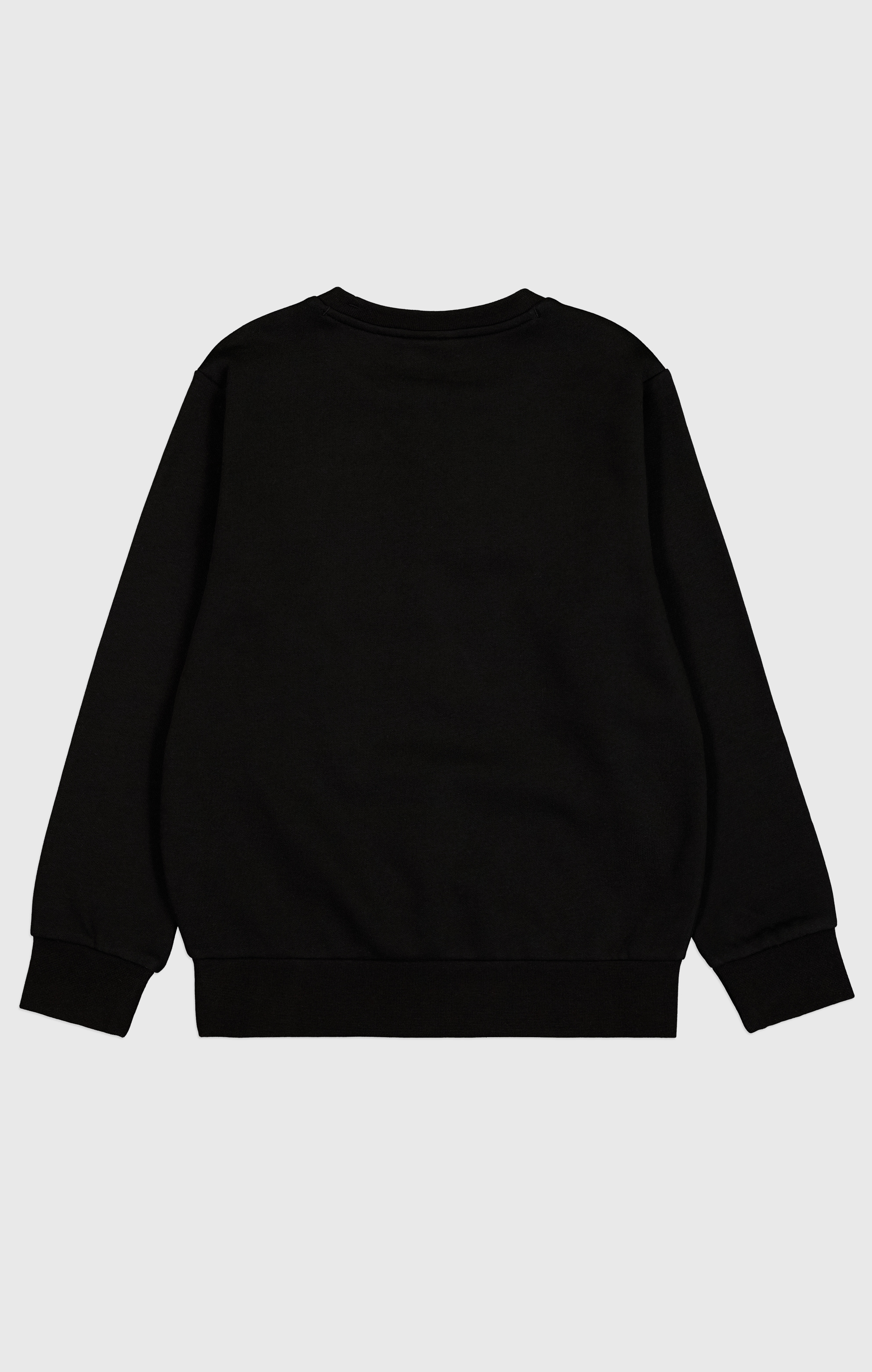 Champion Sweatshirt, für Kinder