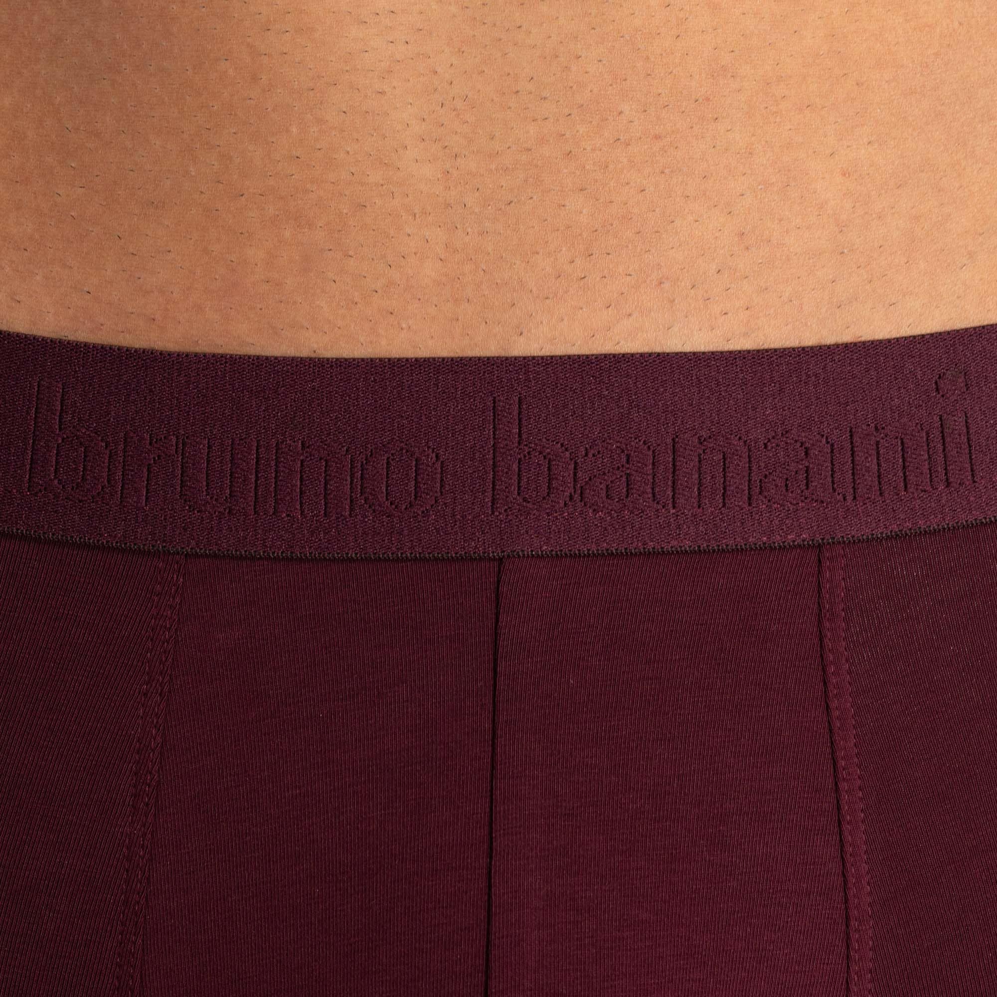 Bruno Banani Boxer »Flowing« mit kontrastreichem Logobund
