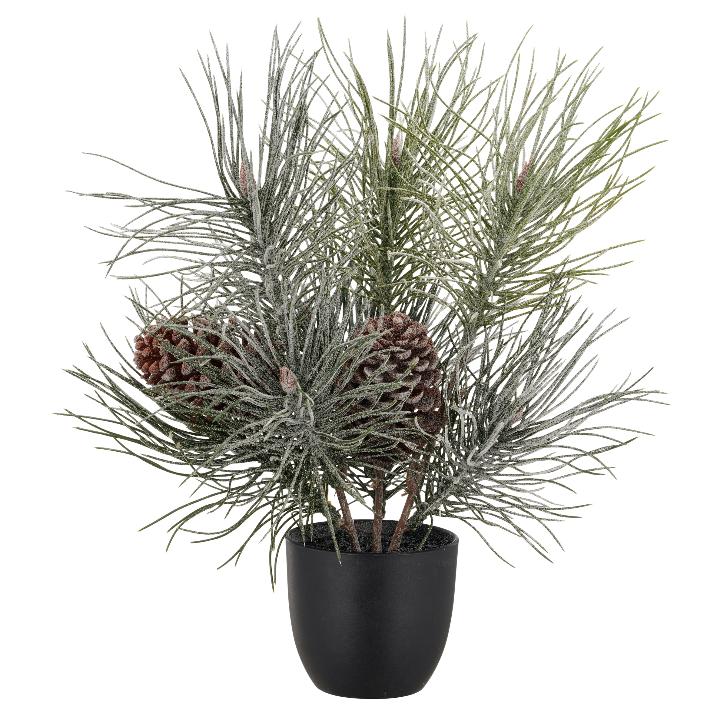 Creativ green Winterliche Kunstpflanze "Kiefernbäumchen" mit Frost-Optik günstig online kaufen