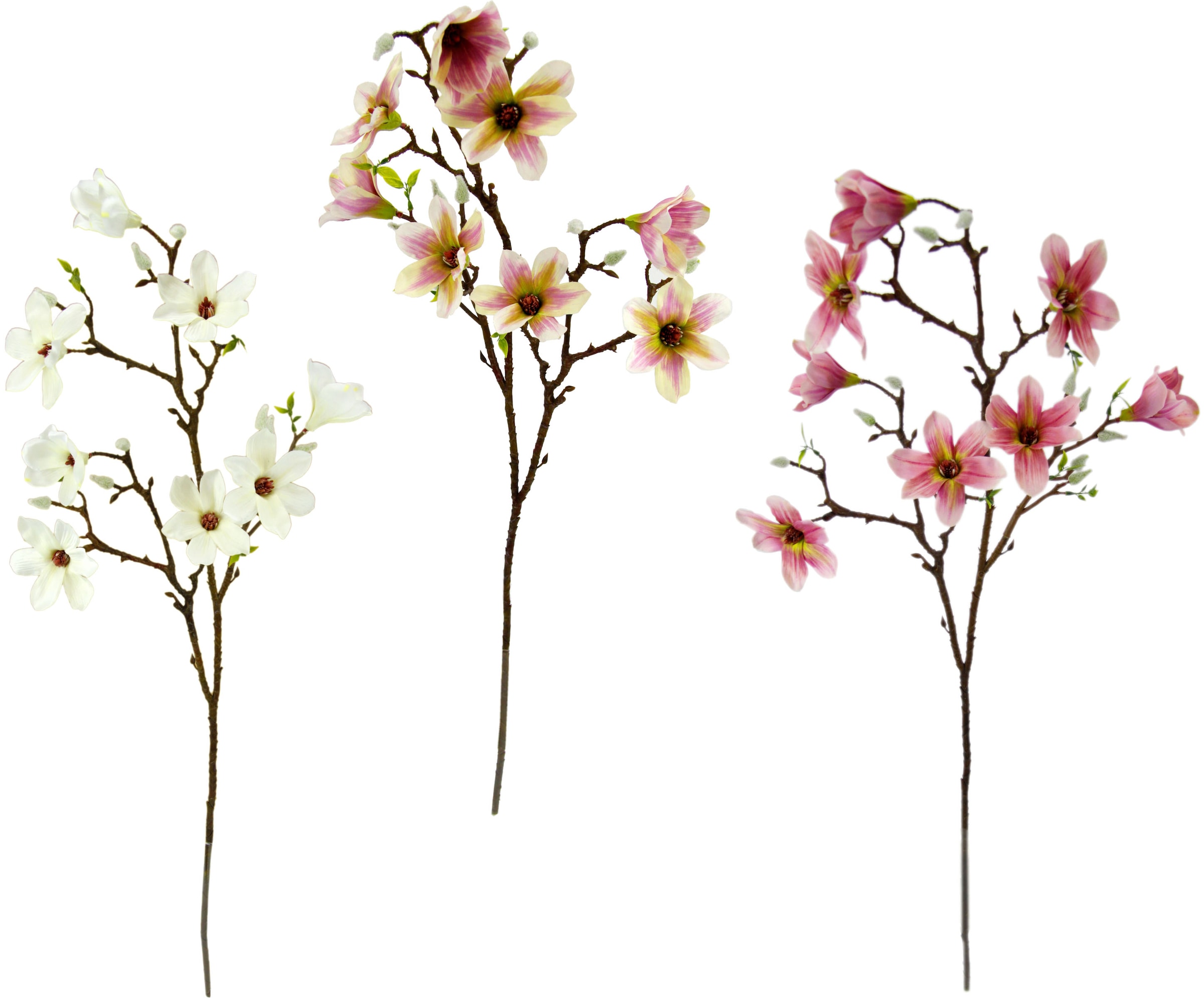 Kunstblume »Magnolienzweig«, 3er Set
