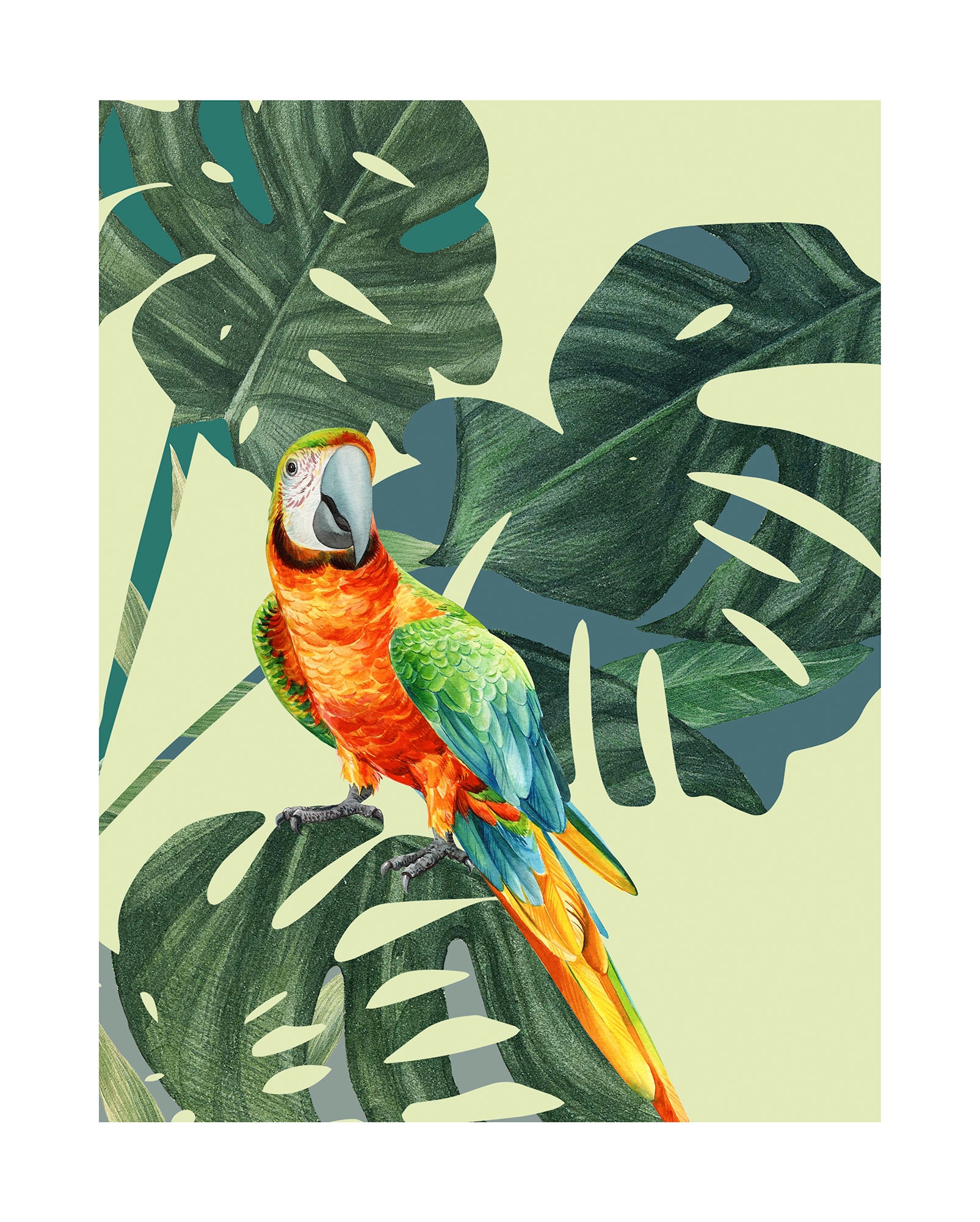 Komar Bild "Green-Winged Macaw" Natur 1 Stk. tlg. Wandbild zur Dekoration - günstig online kaufen
