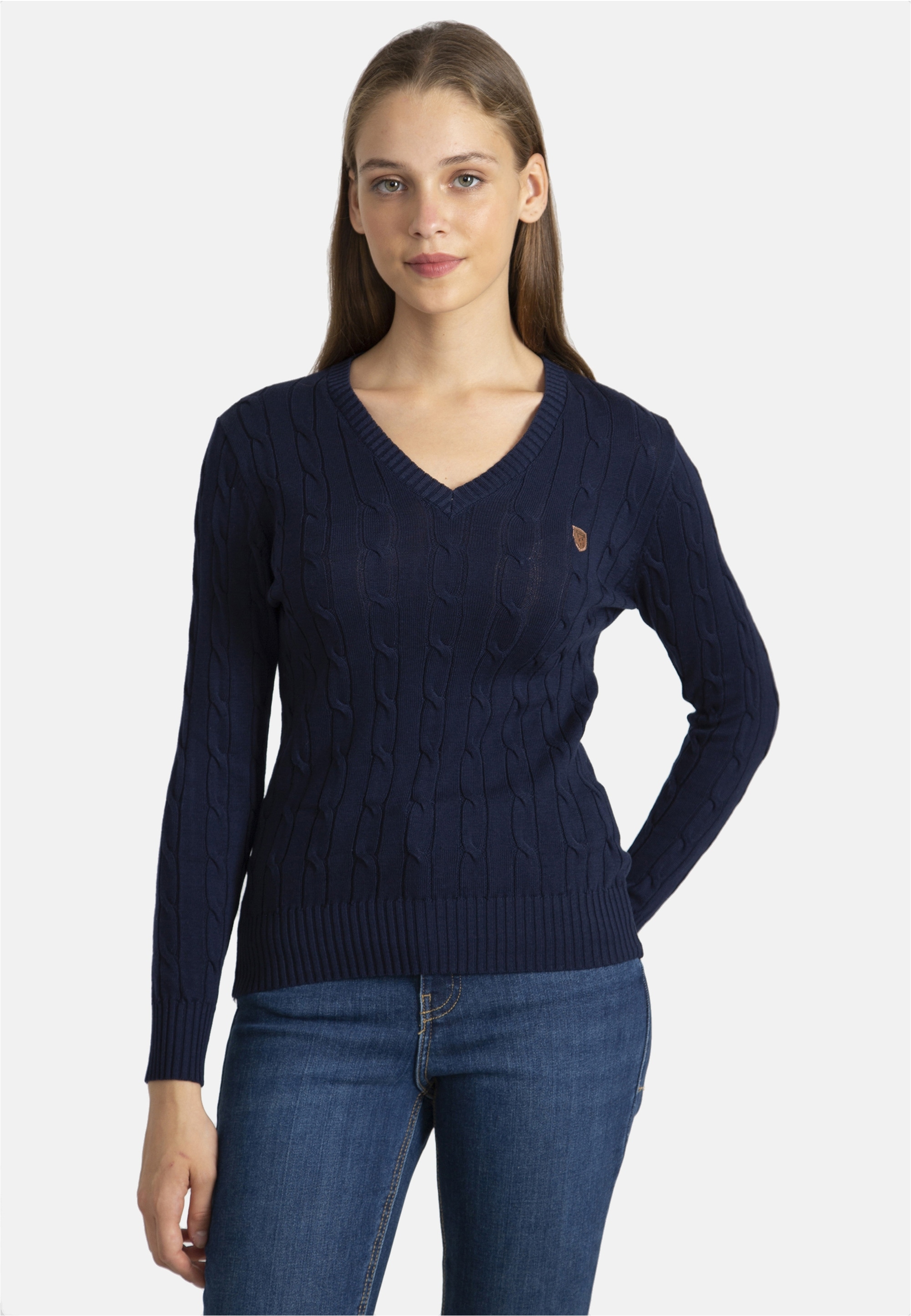 SIR RAYMOND TAILOR Strickpullover »Frenze«, (1 tlg.), mit klassischem V-Ausschnitt