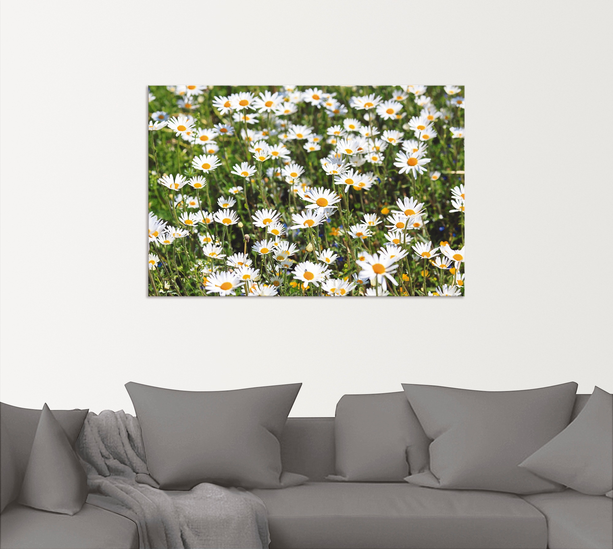 Artland Wandbild "Gänseblümchen", Blumen, (1 St.), als Alubild, Outdoorbild günstig online kaufen