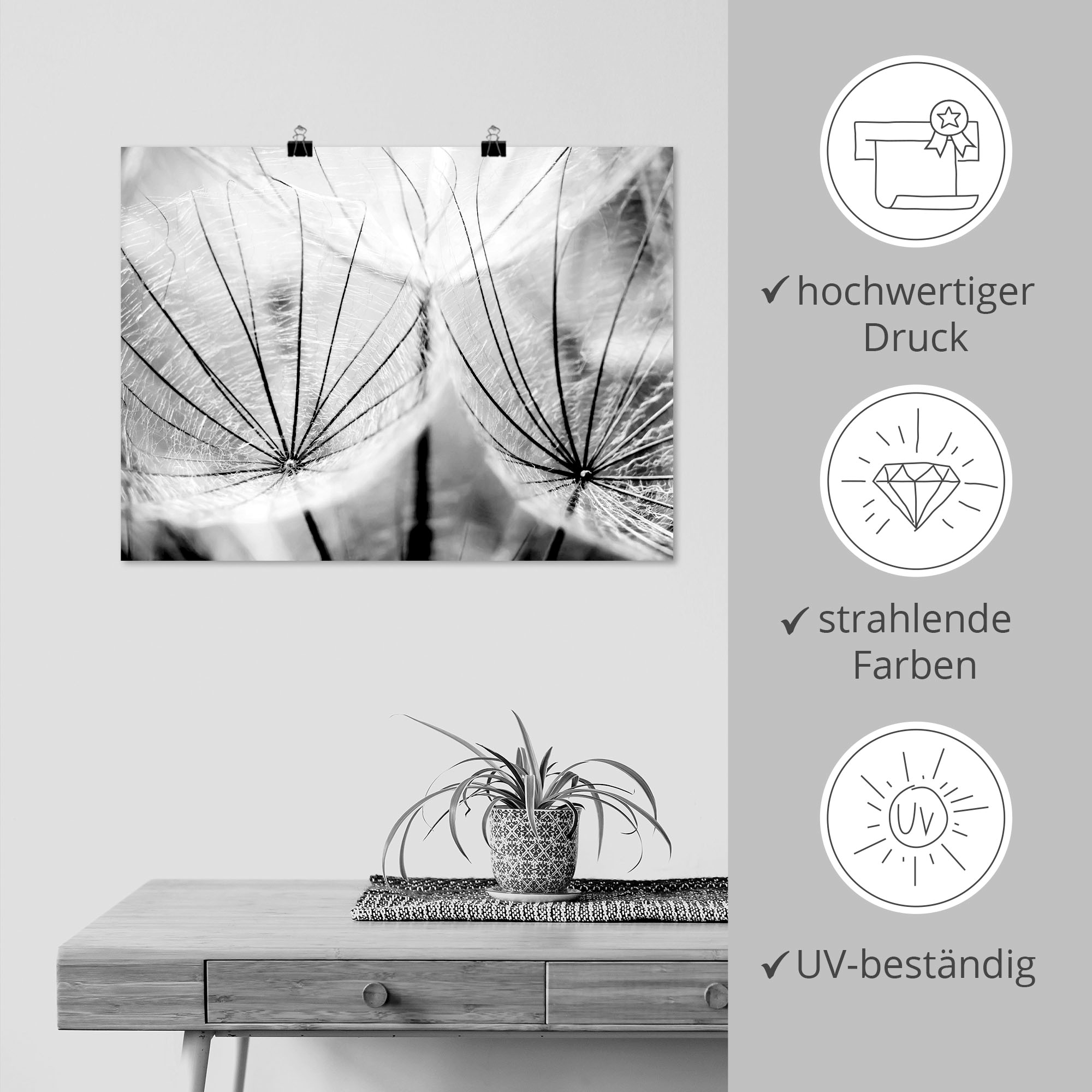 Artland Wandbild »Pusteblume in schwarzweiß« Blumen 1 Stk. tlg. als Leinwandbild, Poster in verschied. Größen