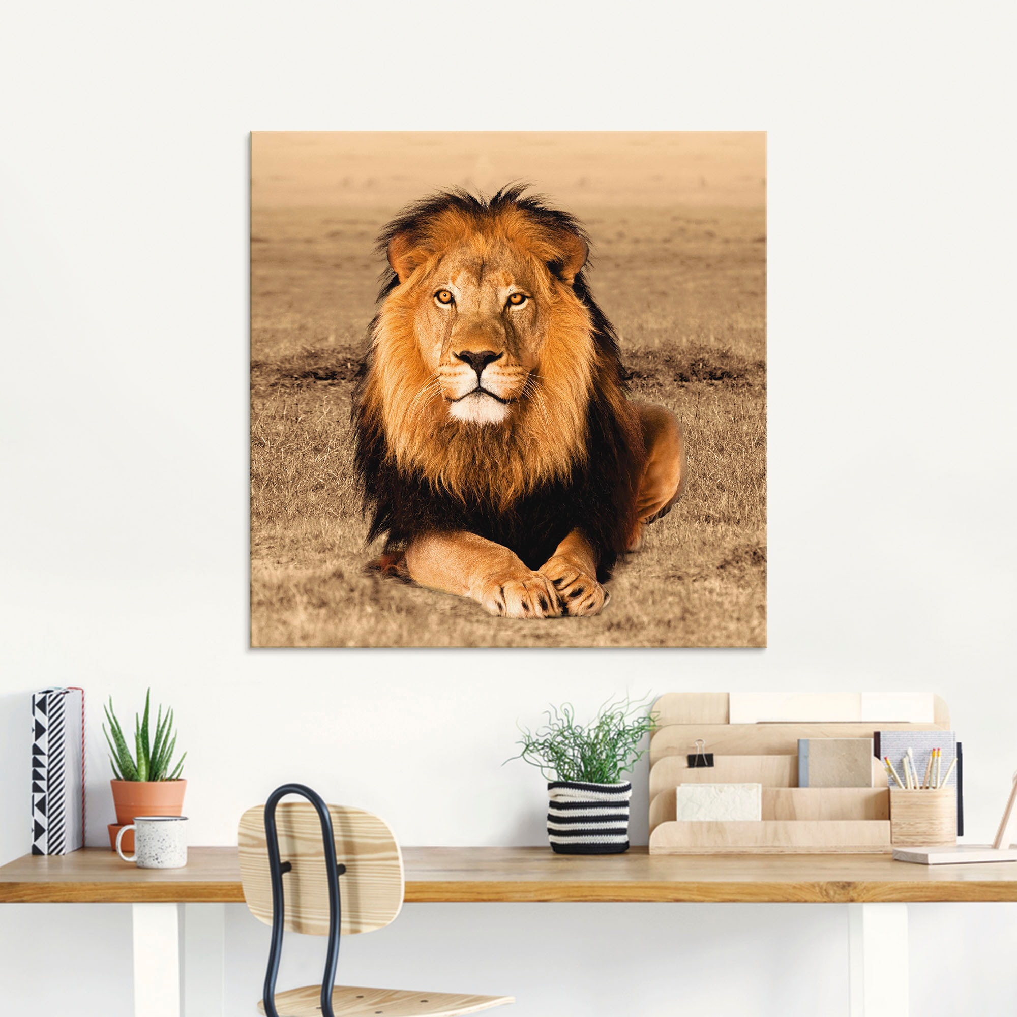 Artland Glasbild »Löwe«, Wildtiere, (1 St.) bestellen | BAUR