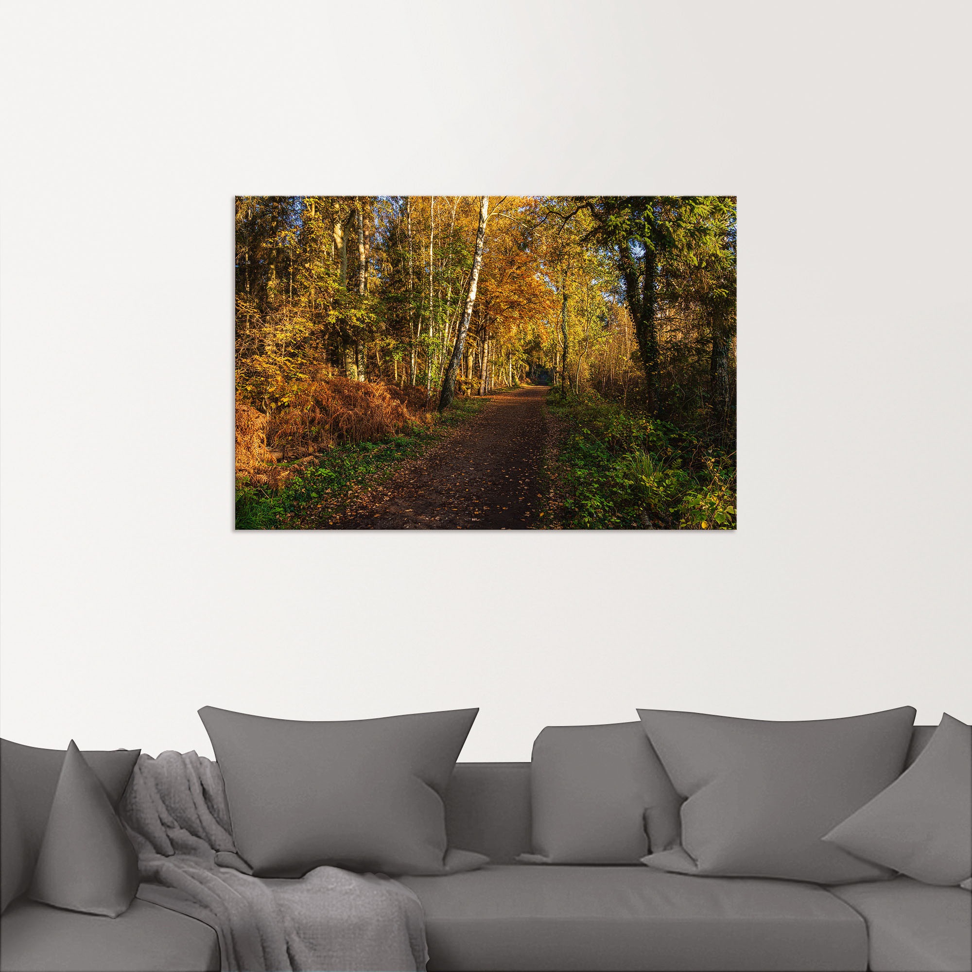 Artland Wandbild »Bäume herbstlich auf dem Fischland-Darß«, Waldbilder, (1 St.), als Alubild, Leinwandbild, Wandaufkleber oder Poster in versch. Größen