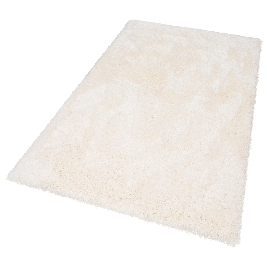 merinos Hochflor-Teppich »Floki 861«, rechteckig