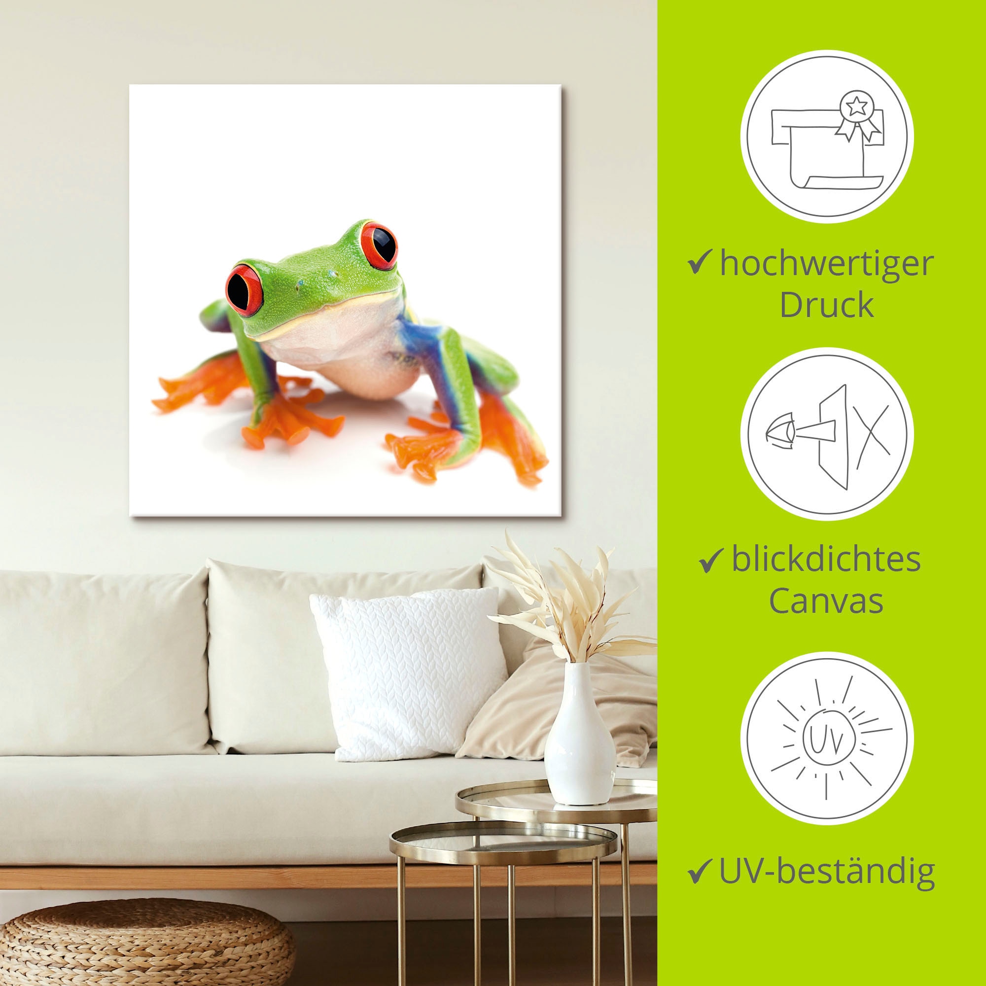 Artland Wandbild »Großaufnahme eines Frosches vor weiß«, Wassertiere, (1 St.), als Alubild, Outdoorbild, Leinwandbild in verschied. Größen