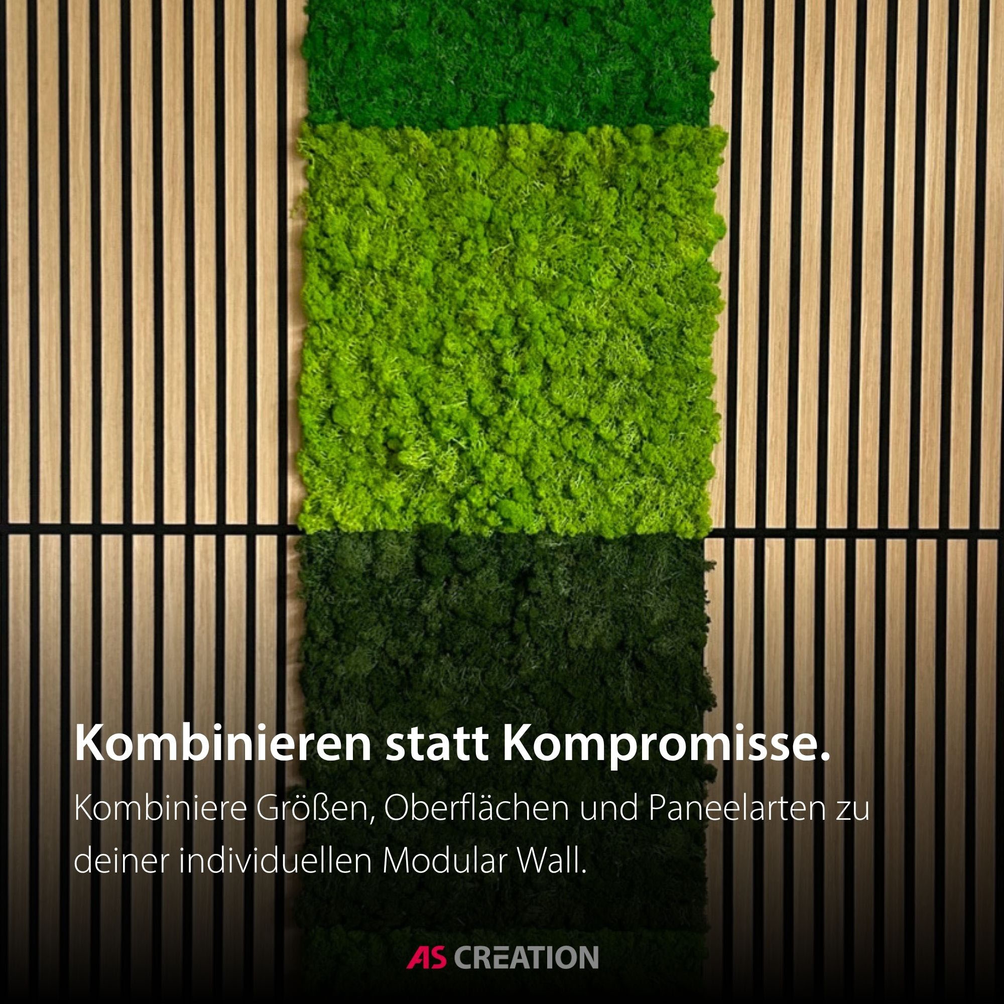 Architects Paper Wandpaneel »A.S. Création Modular Wall Wandpaneel Naturmoos« 1 tlg. Konserviertes Naturmoos auf rPET-Filz – pflegeleicht ohne Gießen